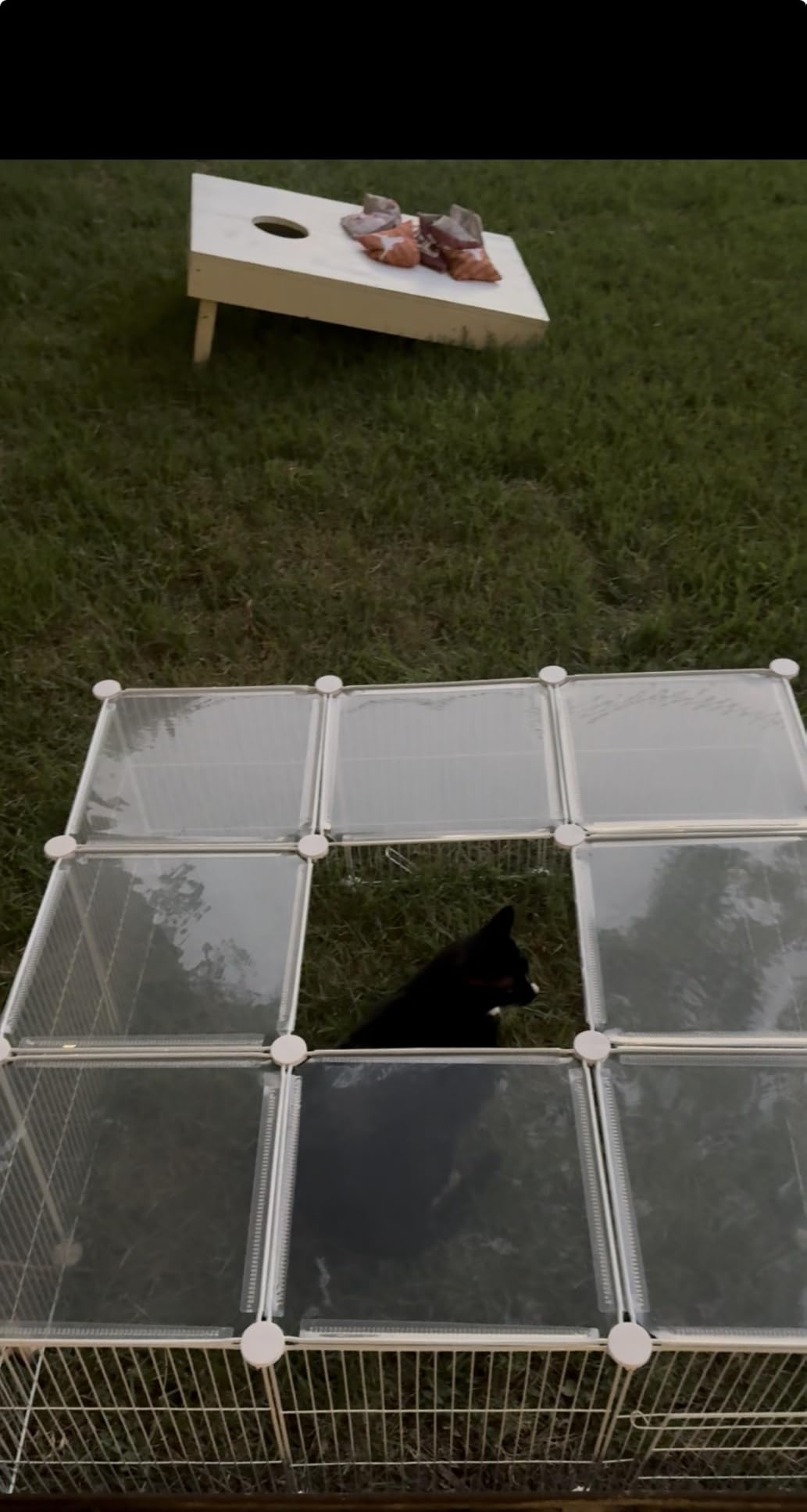 VISCOO 12 Panels Small Animals Playpen,48