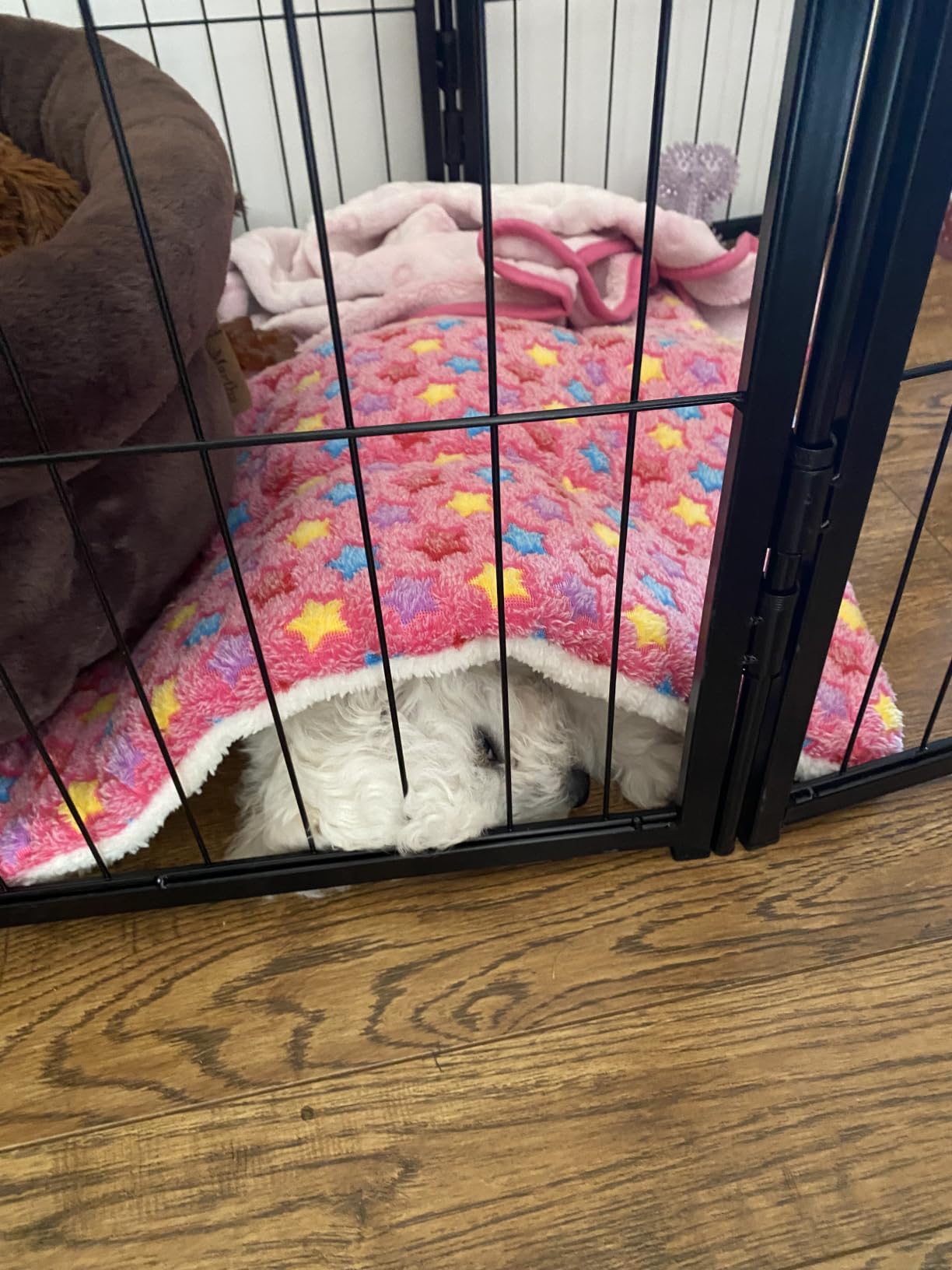 Mora Pets Dog Bed Crate Pad Ultra Soft Pet Bed with Cute Star Print Washable Crate Mat for Large Medium Small Dogs Reversible Fleece Dog Crate Kennel Mat Cat Bed Liner 22-Inch Grey customer photo 2