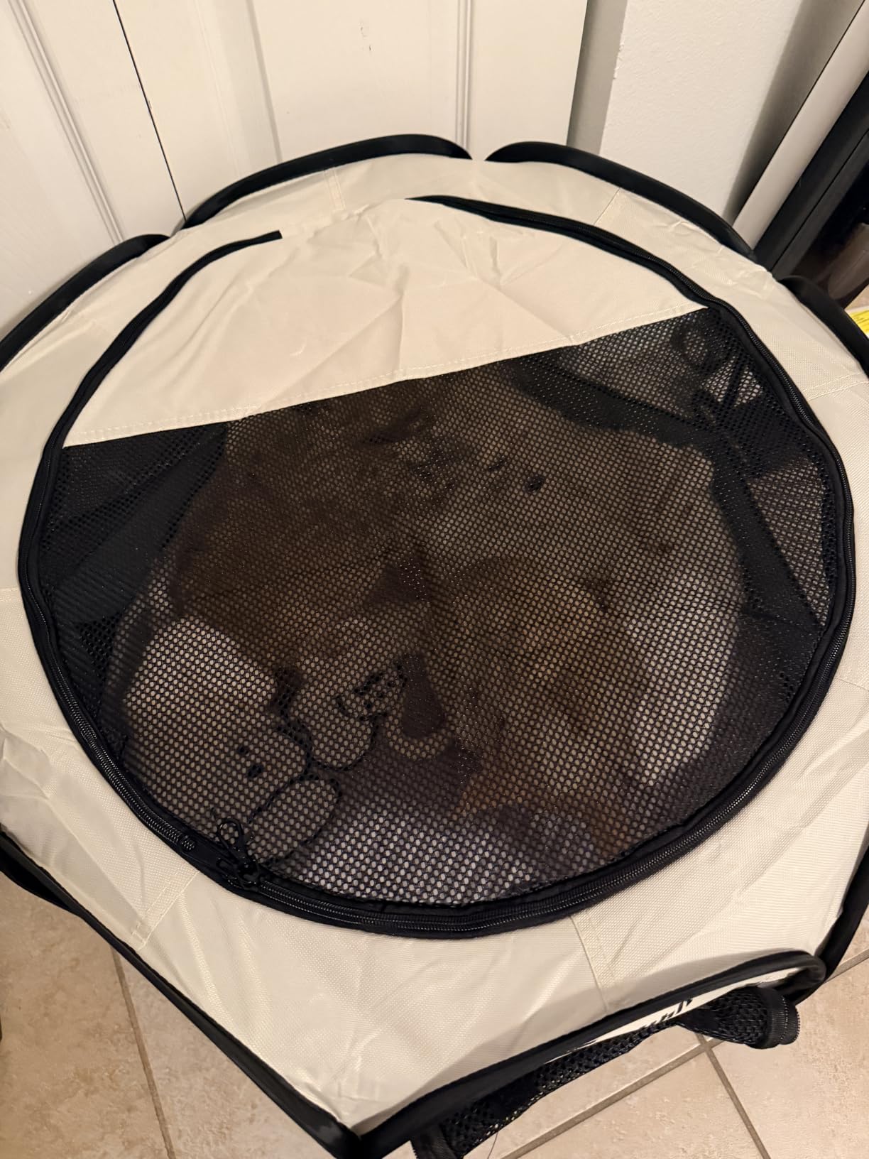 Sieidihit Dog Cat Pet Playpen Puppy Crate Cage Indoor Outdoor, Large Grey customer photo 1