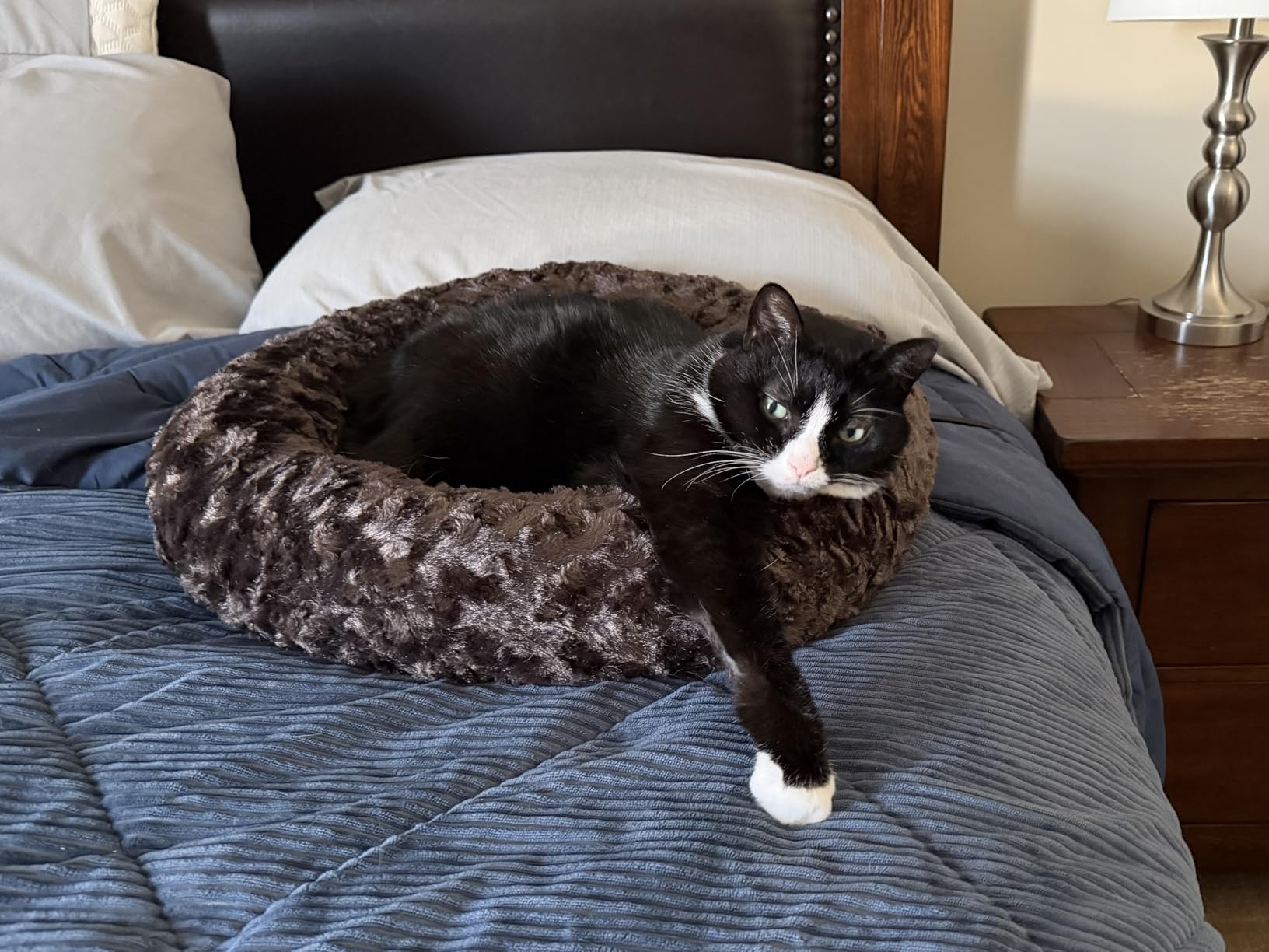 Heated Pet Beds for Indoor/Outdoor Cat & Dog Orthopedic Foam Warming Cat Beds Auto Temperature Control, Washable Cover with Waterproof Liner Thermo Kitty Electric Heating Bed customer photo 1