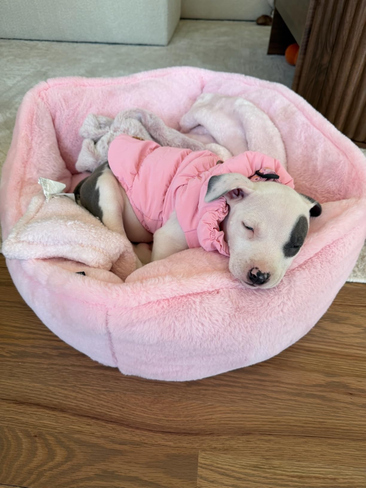 ABRRLO Winter Warm Dog Jacket for Small Medium Dogs Cat Cold Weather Coats with Harness Paded Dogs Fleece Vest Waterproof Windproof Dog Snow Jacket Pet Puppy Clothes (Pink,XS) customer photo 1