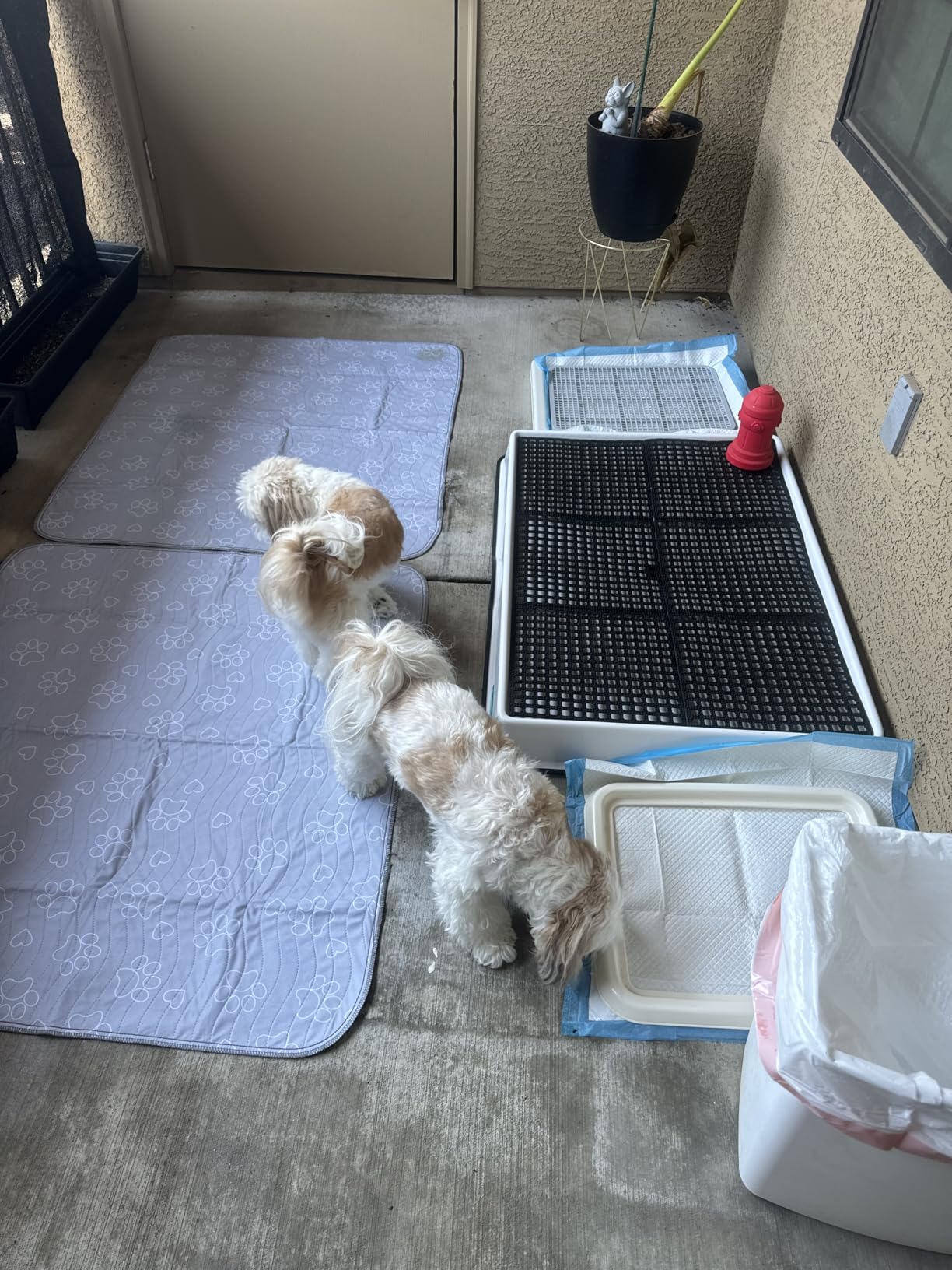 IMPROVIA® Extra-Large Waterproof Dog Mat - Jumbo Washable Playpen Floor Protector, Non-Slip Pet Pad, Heavy-Duty 65