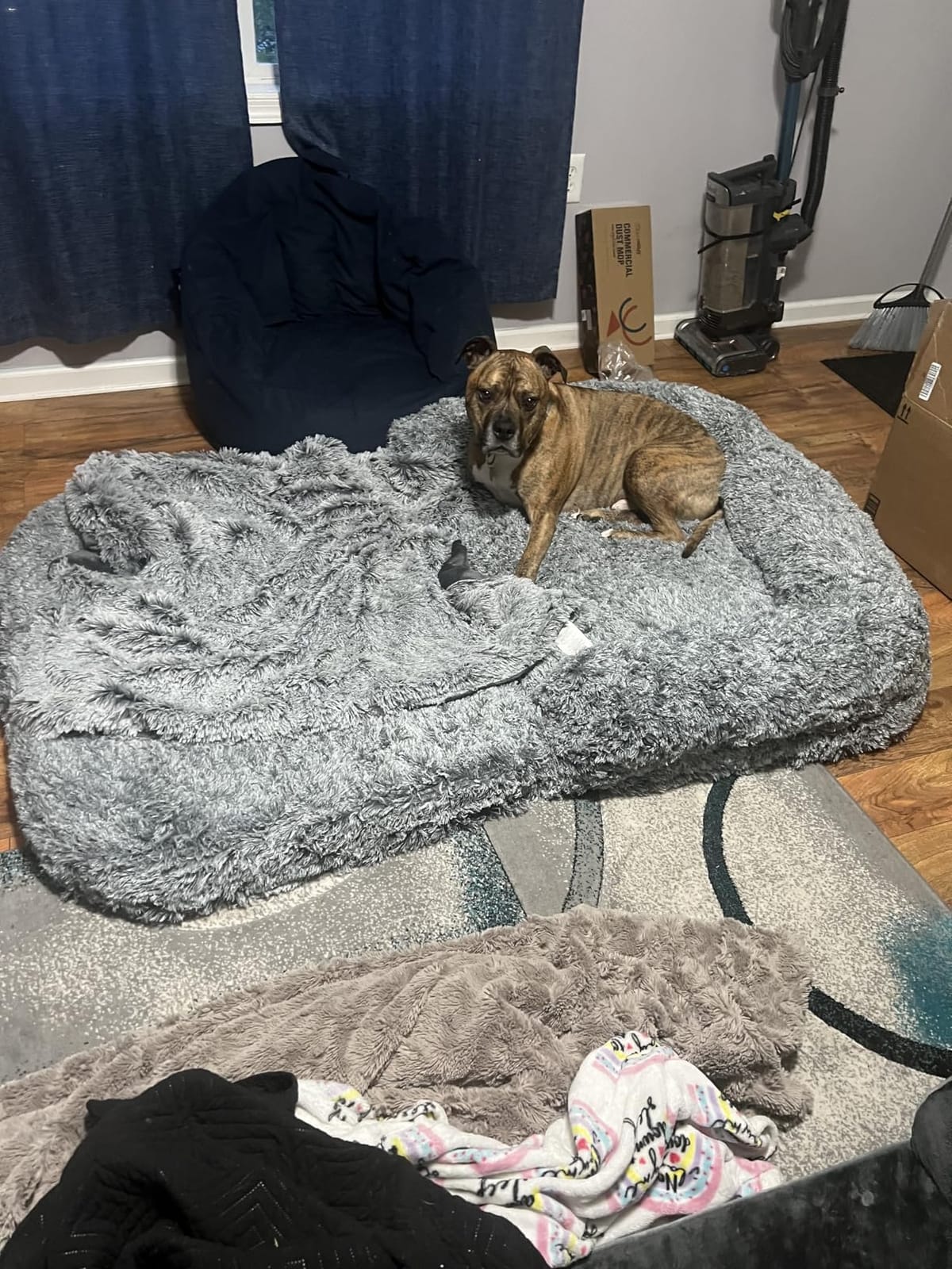 EHEYCIGA Foldable XXL Dog Bed for Large Sized Dog - 54x38x7.5, Grey customer photo 2
