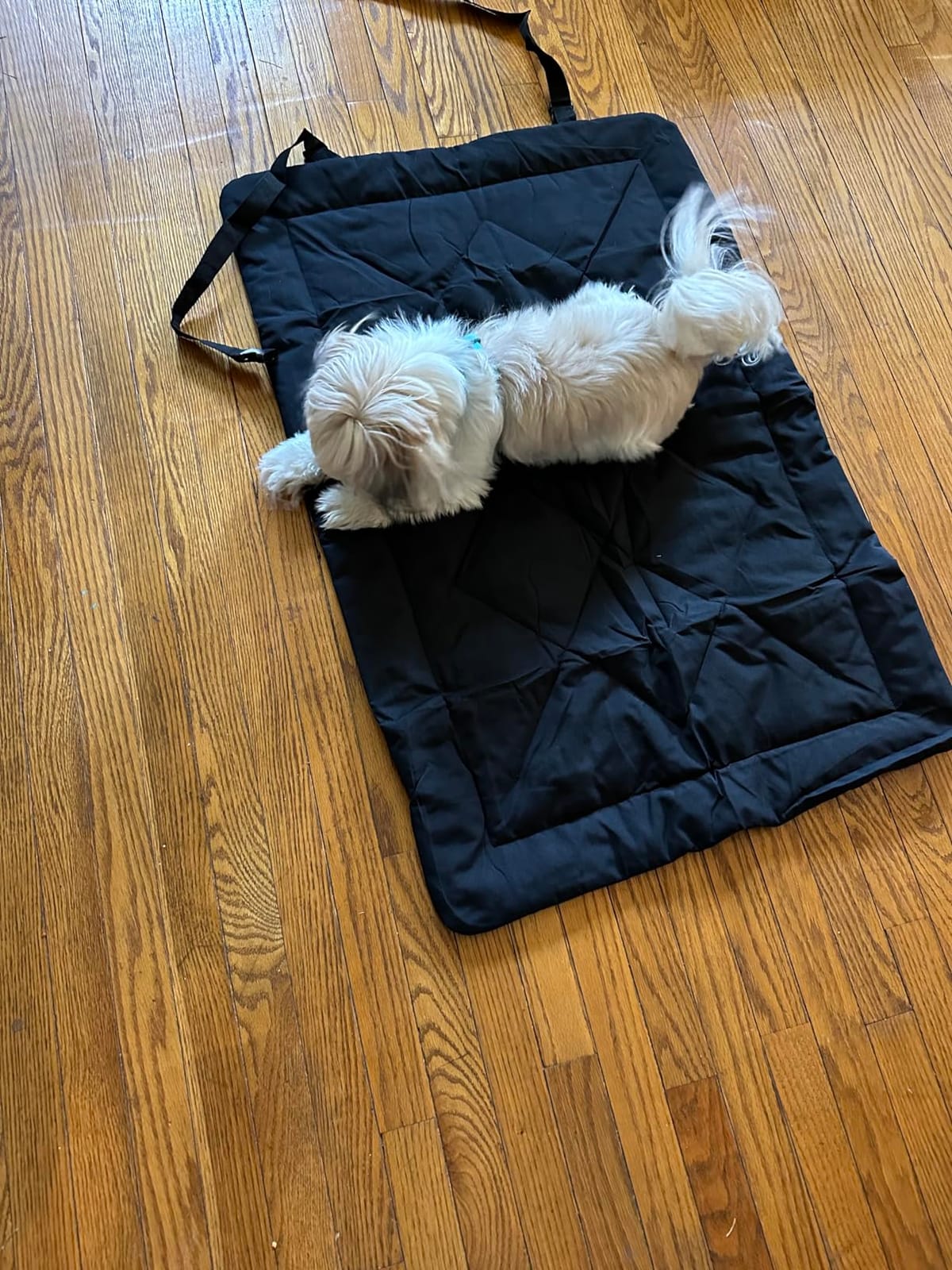 Travel Dog Bed, Portable Waterproof Anti-Slip Dog Camping Bed Mat with Carry Handles for cat or Other pet, Machine Washable, 36 * 23” Dark Blue customer photo 2