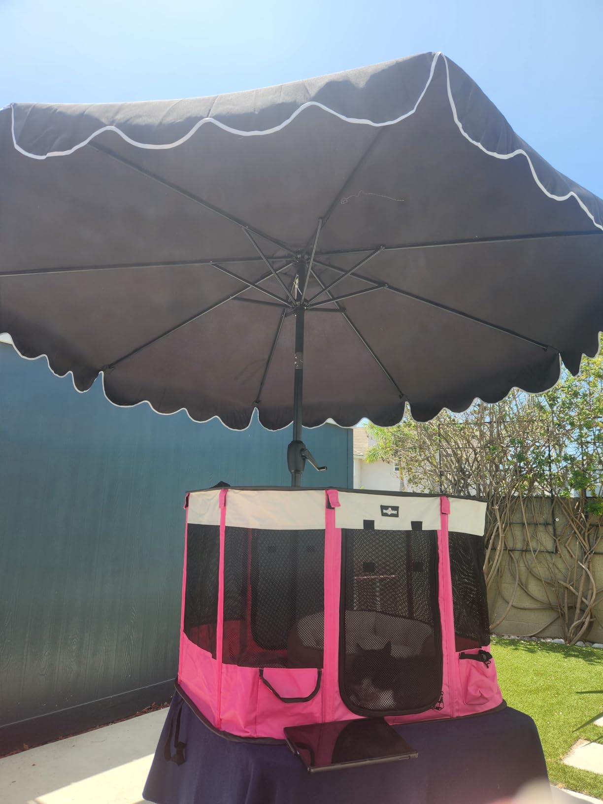 Paw Ballet Foldable Pet Kitten Playpen, Upgrade Waterproof Portable Dog Cat Playpen Kennel Tent for Small Cat Dog, Retractable Shade Cover with Carrying Case, Indoor Outdoor Use for Small Pet. customer photo 1