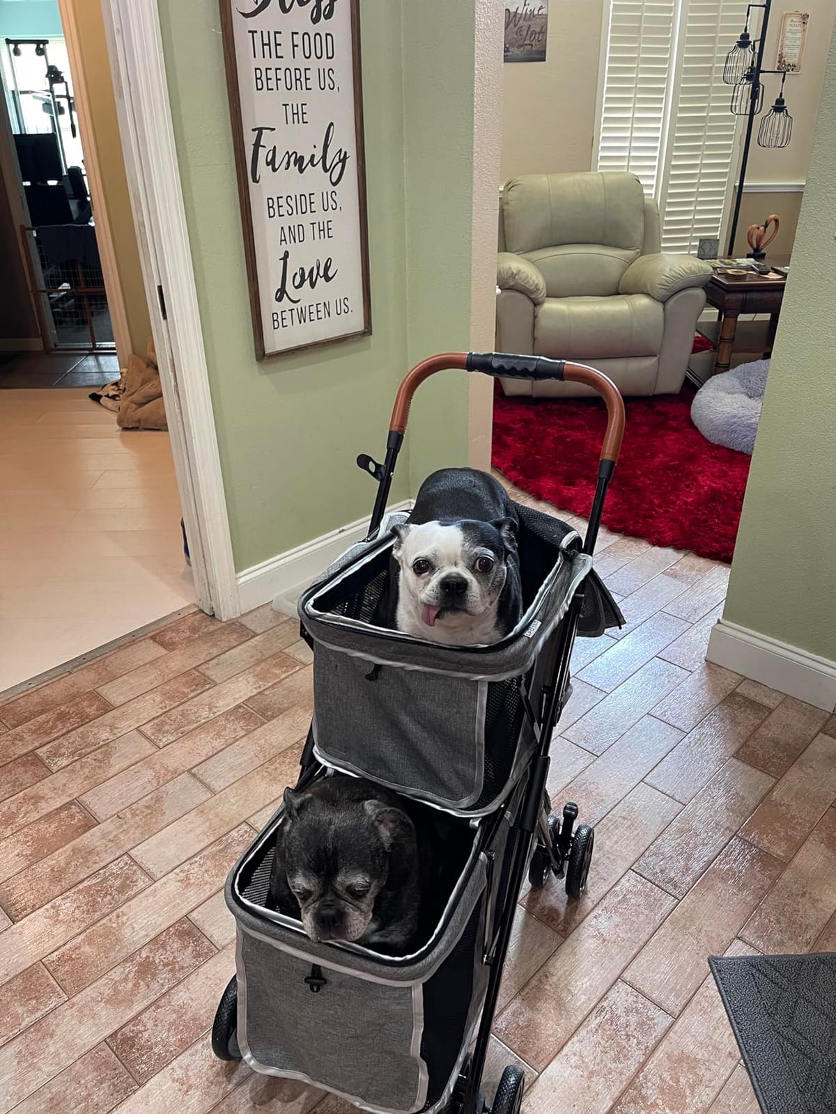 Double Pet Stroller for 2 Dogs & Cats, Double-Decker, Blue | One-Hand Fold Two-Tier Stroller with Separate Cabins, 44 lb Capacity, 4 Tethers, Locking Front Wheels and Rear Brakes customer photo 1