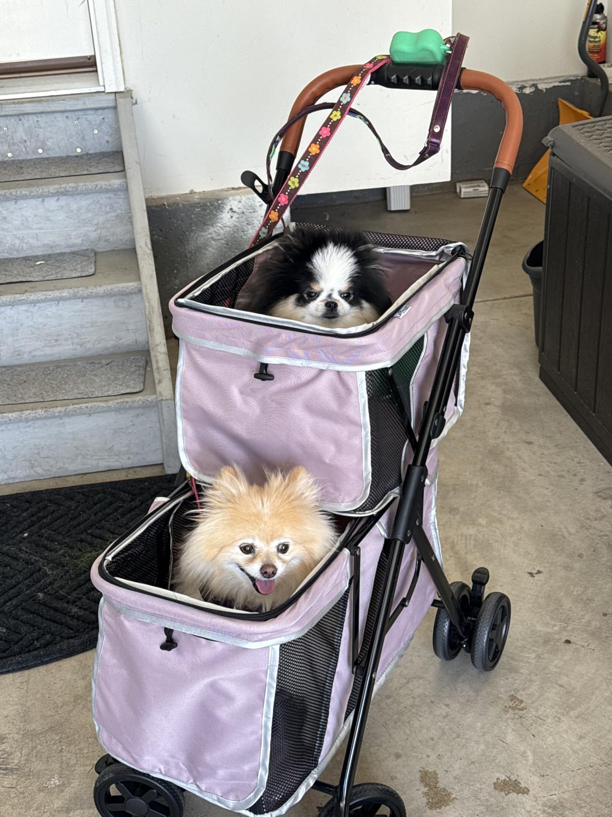 Double Pet Stroller for 2 Dogs & Cats, Double-Decker, Blue | One-Hand Fold Two-Tier Stroller with Separate Cabins, 44 lb Capacity, 4 Tethers, Locking Front Wheels and Rear Brakes customer photo 2