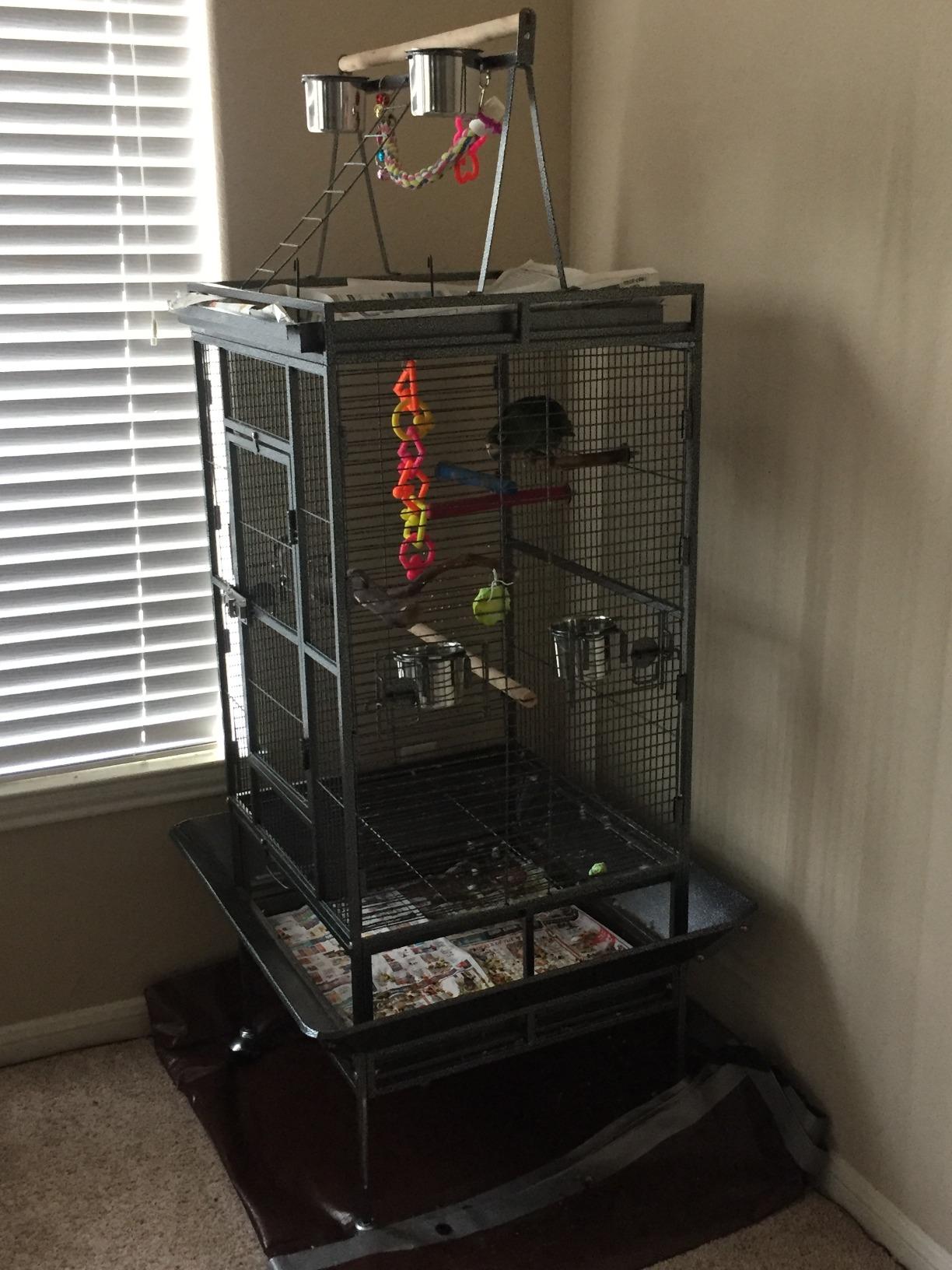 Nova Microdermabrasion 61 Inches Large Bird Cage Play Top Parrot Cockatiel Parakeet Chinchilla Macaw Cockatoo Cage W/Stand Perch Pet Supplies, White customer photo 2