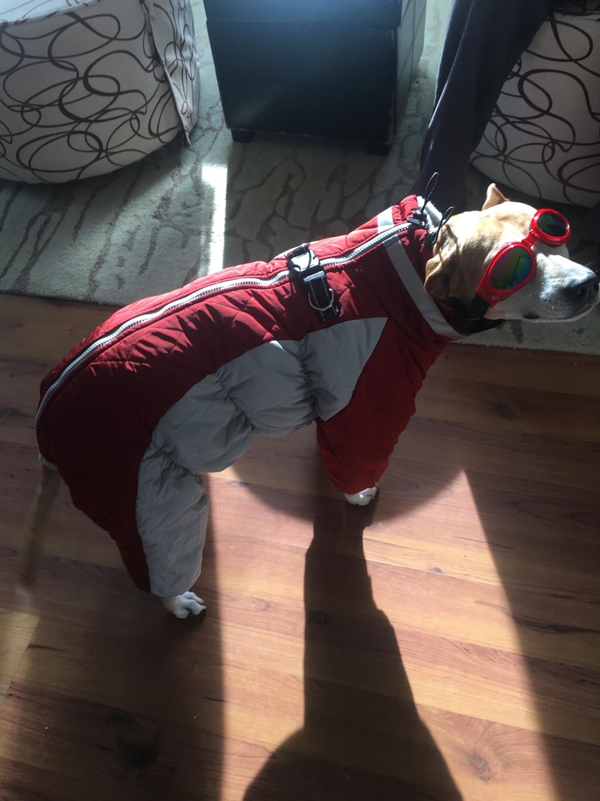 Full Body Dog Coat Warm Dog Jacket with Legs for Puppy customer photo 1