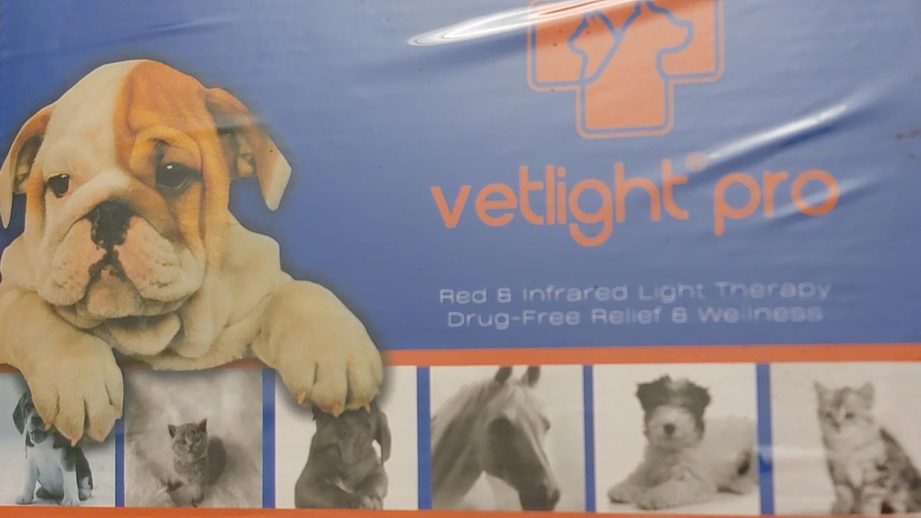 SHINE VETLIGHT® Pro Red & Infrared LED Therapy for Animals with DeepPower customer photo 1