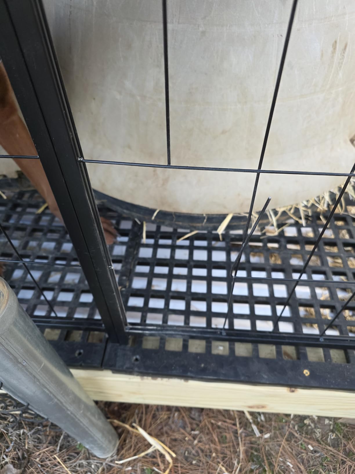 ROOMTEC Large Dog Kennel Outdoor Pet Pens Dogs Run Enclosure Animal Hutch Metal Coop Fence with Roof Cover (4'L x 4'W x 4.25'H) customer photo 1