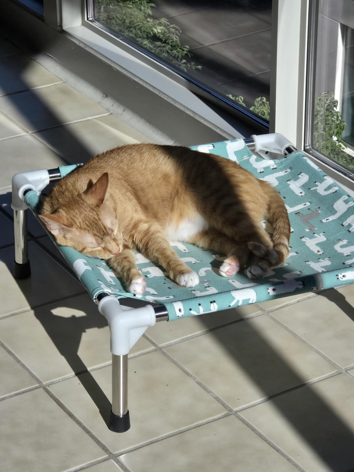Elevated Dog Bed Pet cot - Pet Bed for Medium Dogs | Raised Pet Bed customer photo 2