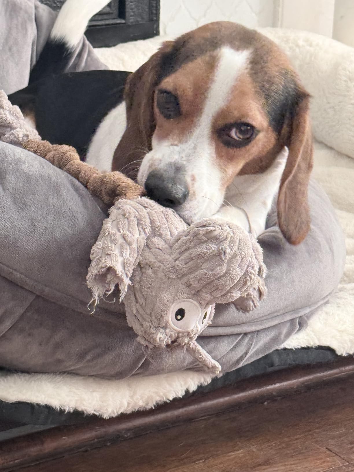Tug of War Dog Toy, Crinkle Dog Toys for Large Dog, Soft Dog Plush Toy with Squeaky, Stuffed Animal for Dogs (Tug Series, Donkey) customer photo 2