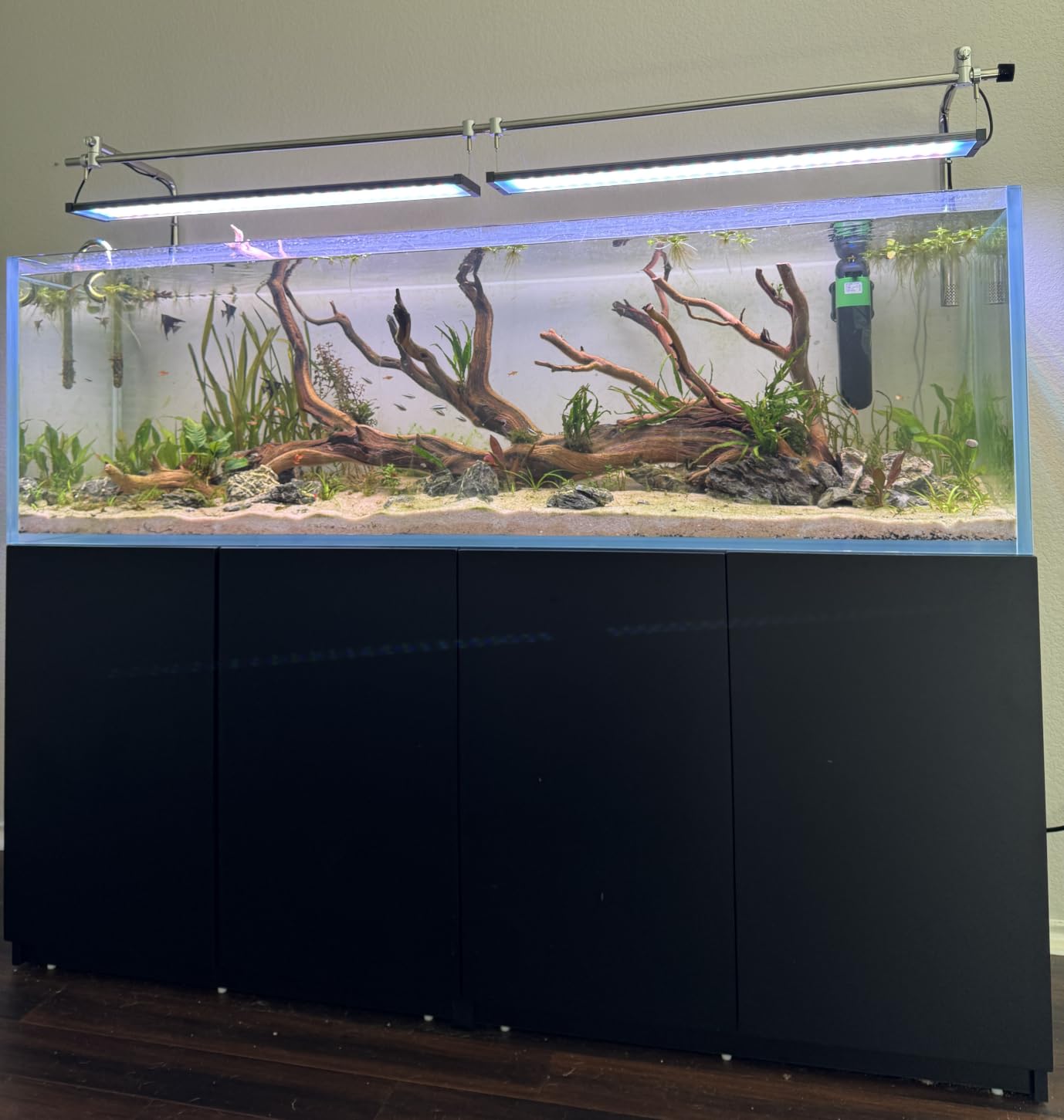 LANDEN Aquarium 75H 37 Gallon Ultra Clear Glass Rimless Fish Tank customer photo 1