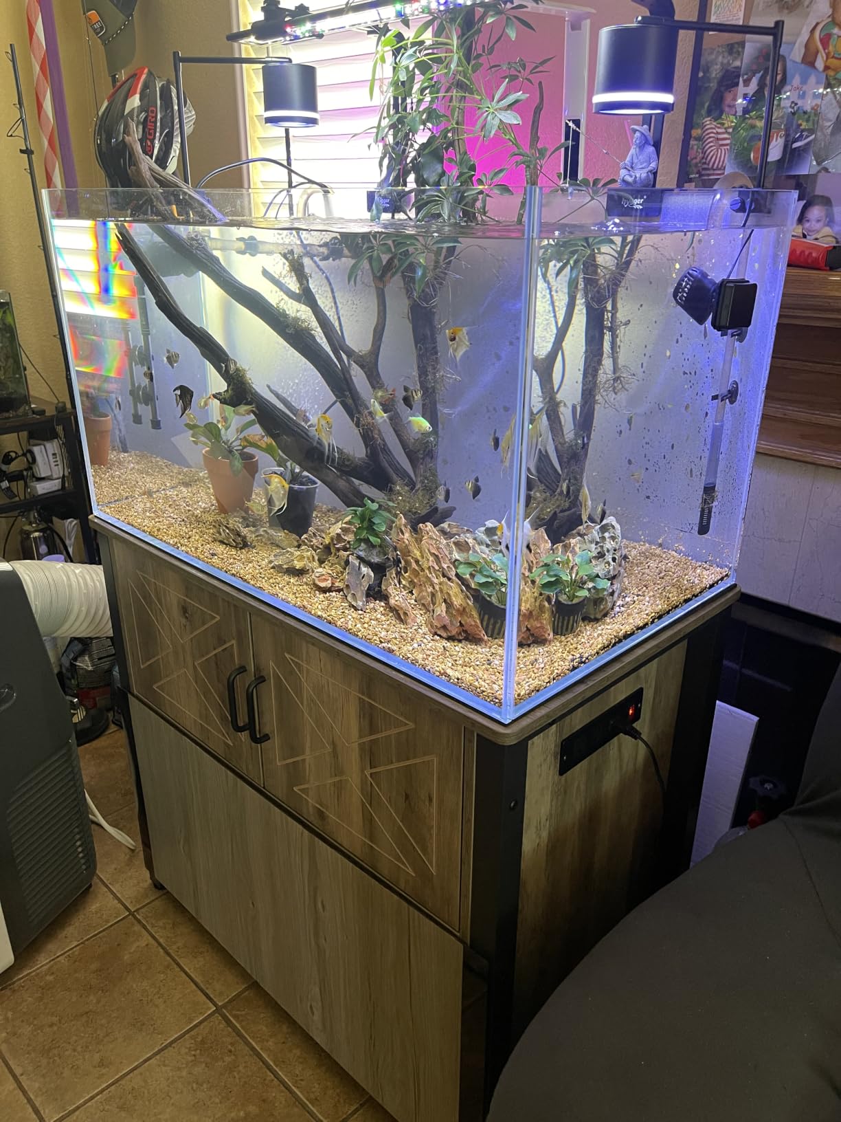 LANDEN Aquarium 75H 37 Gallon Ultra Clear Glass Rimless Fish Tank customer photo 2