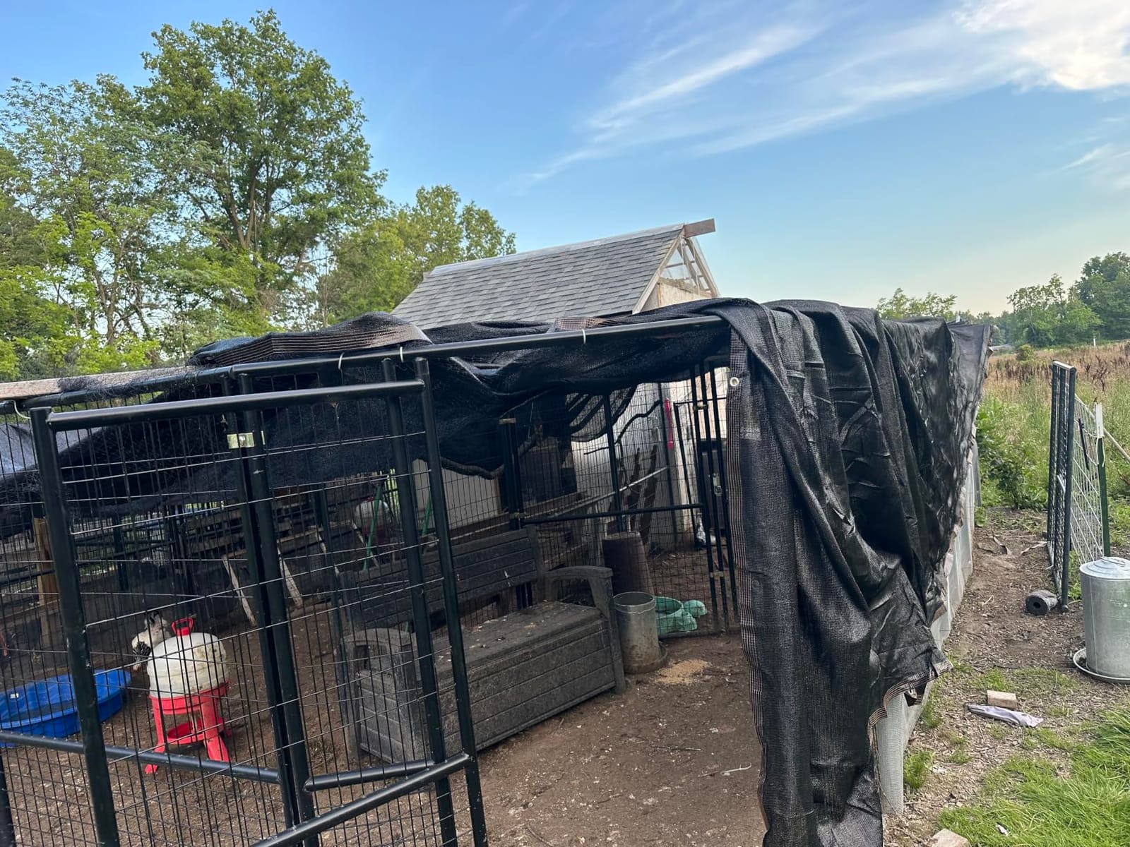 winemana 90% Shade Cloth, Dog Kennel Shade Cover, 6.6 x 6.6 FT Sturdy Durable Sunblock Shade Mesh Tarp with Grommets for Patio Plants Greenhouse Chicken Coop Porch customer photo 2