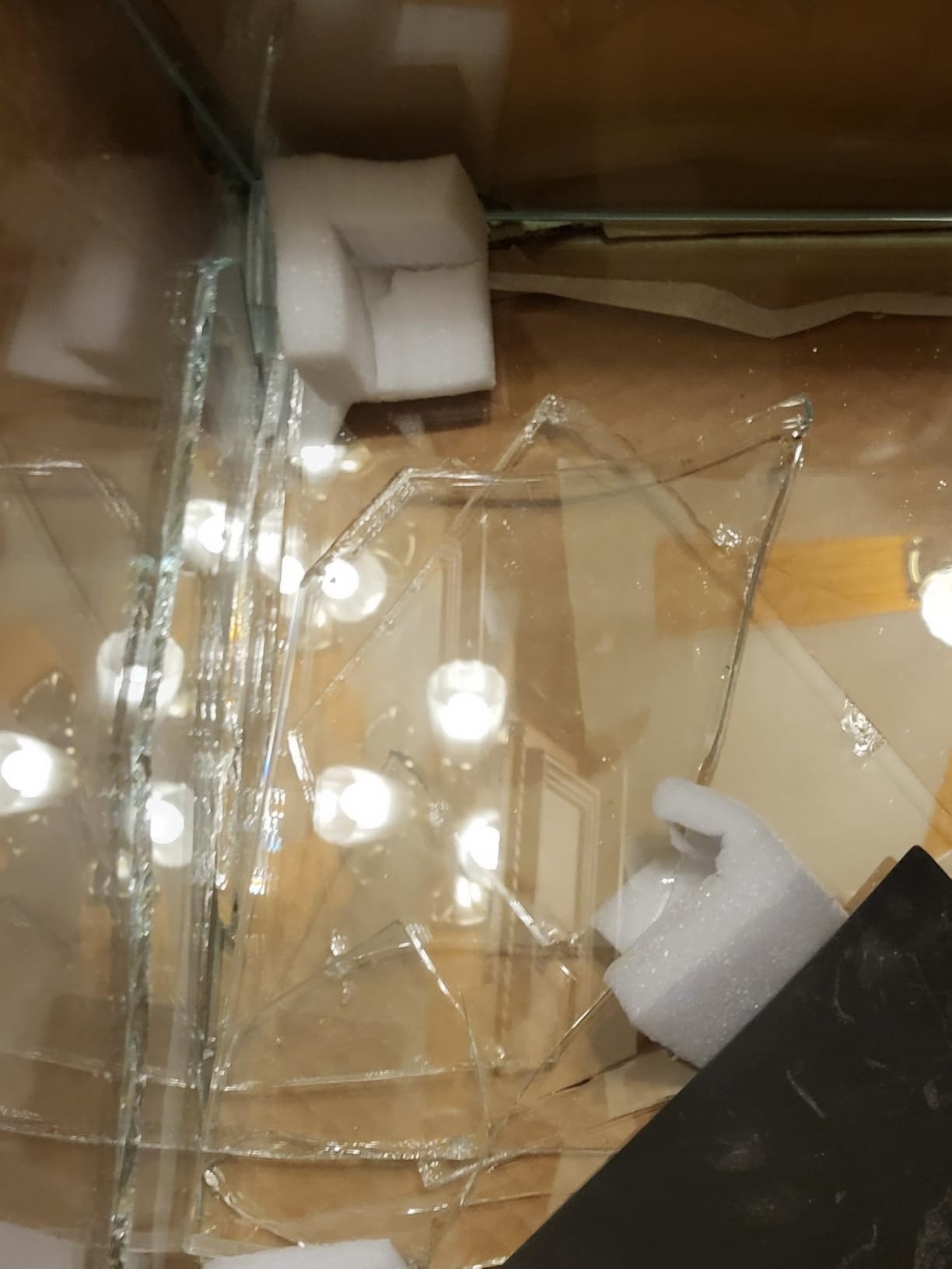 Ultra Clear Rimless Low Iron Glass Aquarium Tank (W23.62×D11.81×H14.17 inch(60x30x36cm)) 6mm Thickness Include Black Leveling Mat customer photo 1