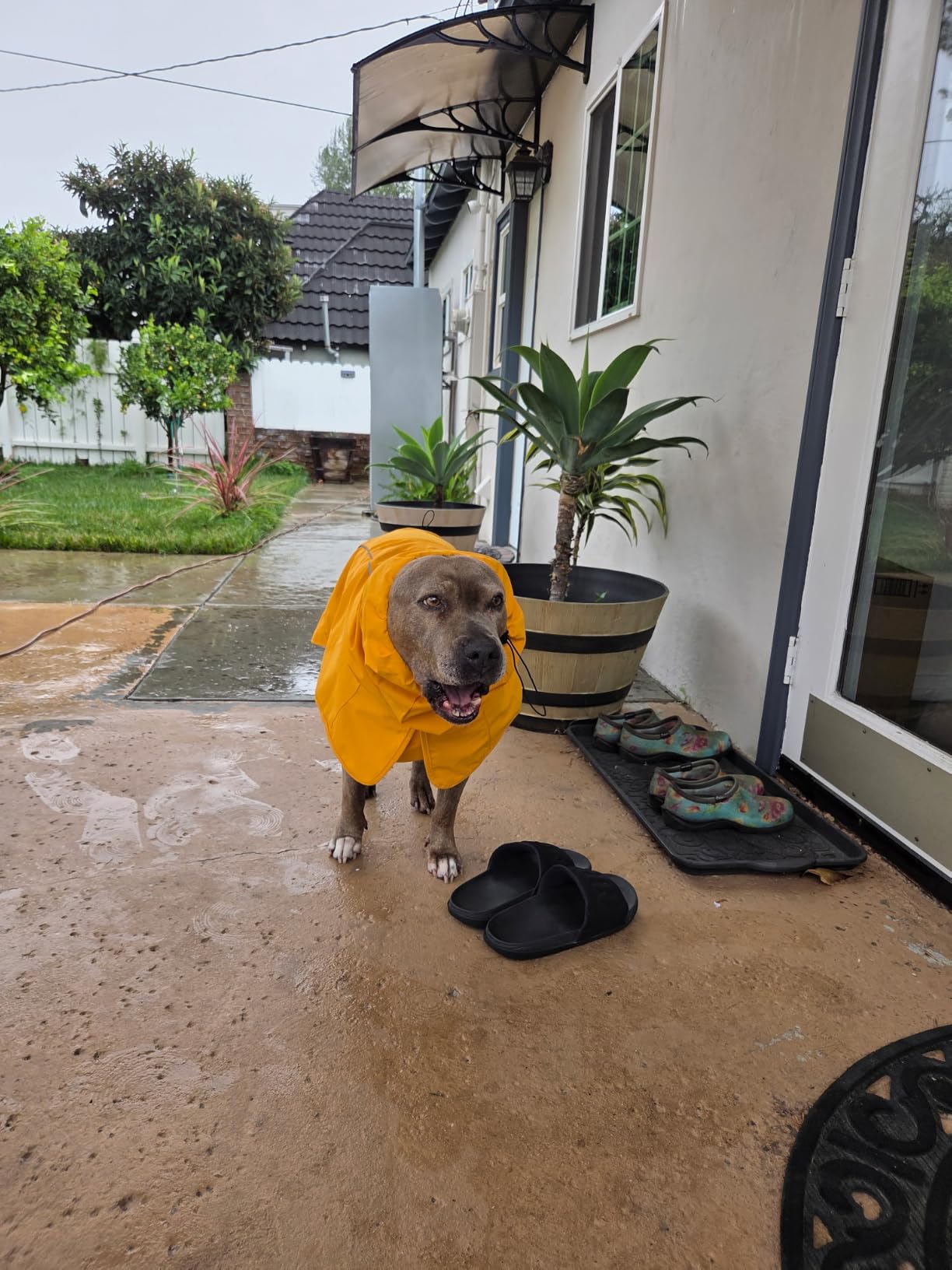 Spark Paws Dog Raincoat - Waterproof Rain Jacket w/Hood, Full Coverage customer photo 1