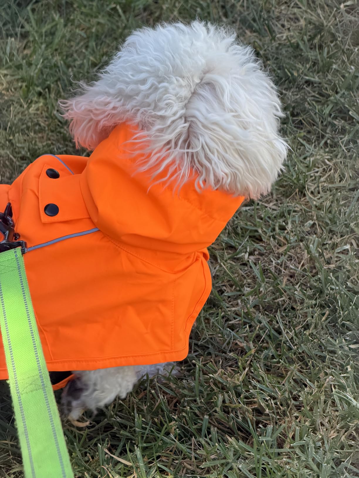 Spark Paws Dog Raincoat - Waterproof Rain Jacket w/Hood, Full Coverage customer photo 2