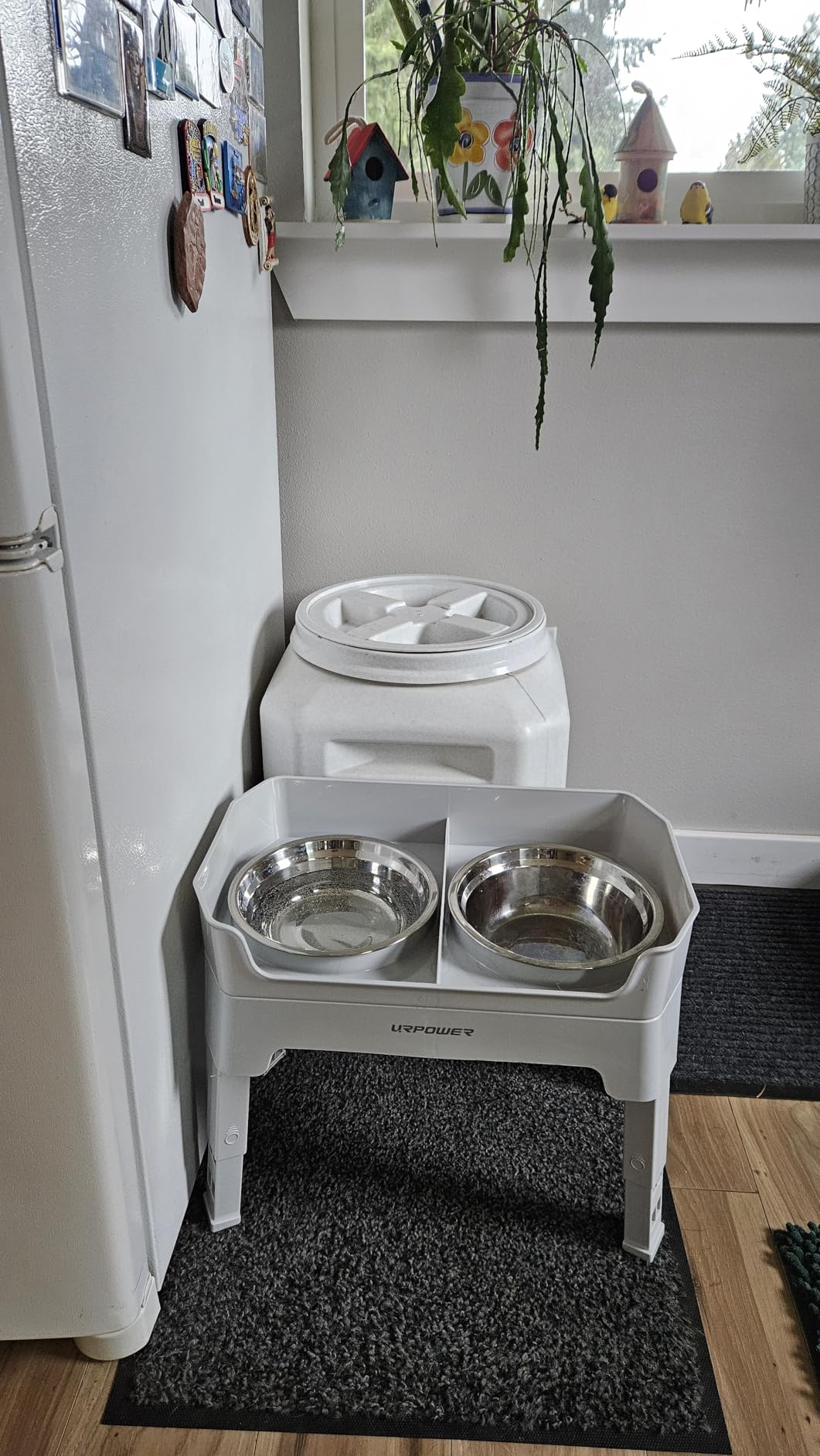 URPOWER Elevated Dog Bowls, 3-in-1 Double Deck Raised Dog Bowl Stand | 4 Height Adjustable Raised Stand with 2 Stainless Steel Food Bowls & Licking Plate for Small, Medium & Large Dogs customer photo 1