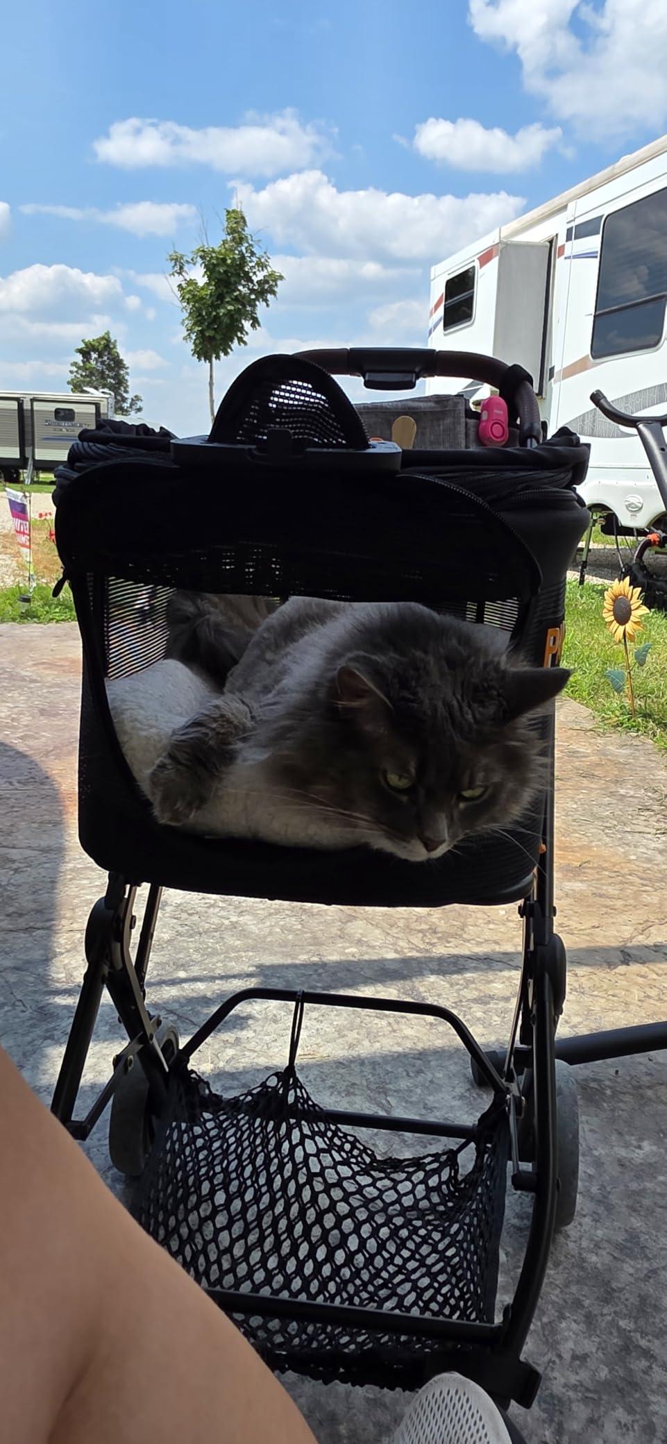 PAWZIDEA Double Pet Stroller with 2 Detachable Carrier, Multifunctional customer photo 1