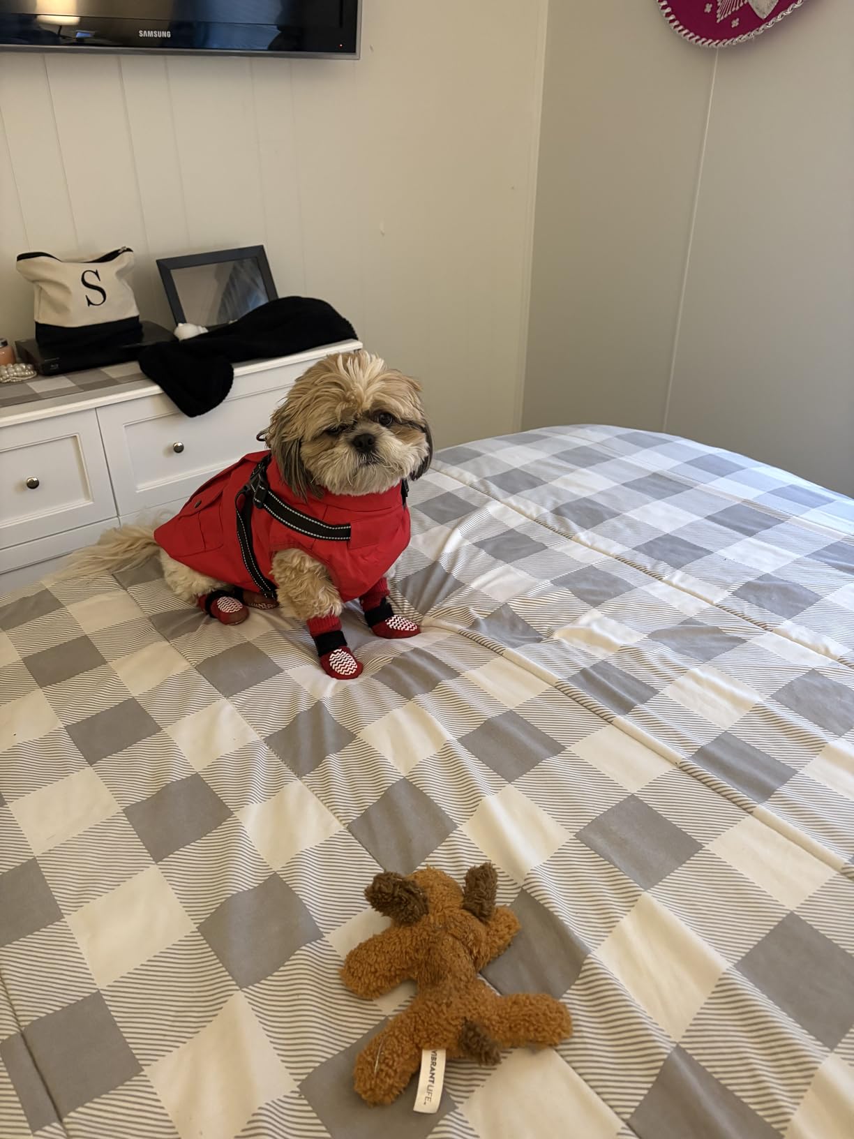 PUPTECK Dog Socks to Prevent Licking Paws, Dog Shoes for Hot Pavement customer photo 1