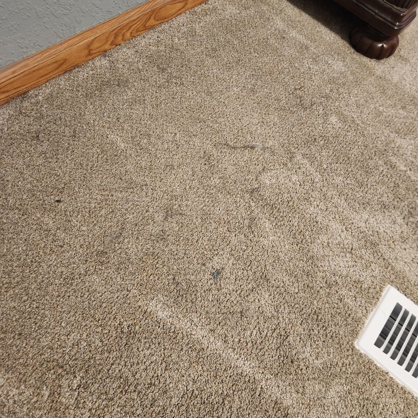 Dyson Ball Animal Total Clean Upright Vacuum customer photo 1