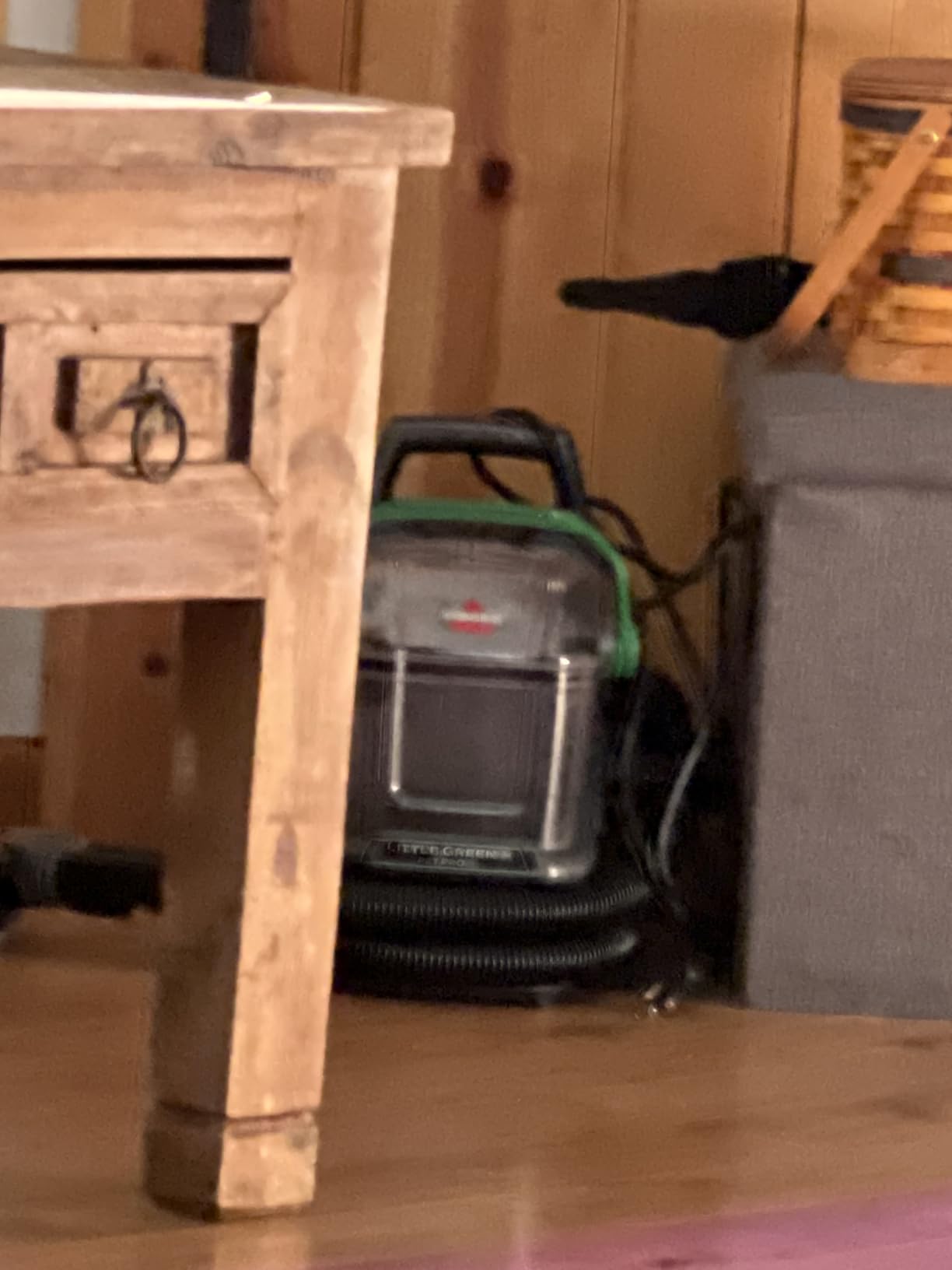 BISSELL Little Green Pet Pro Portable Carpet Cleaner, 3909 customer photo 2