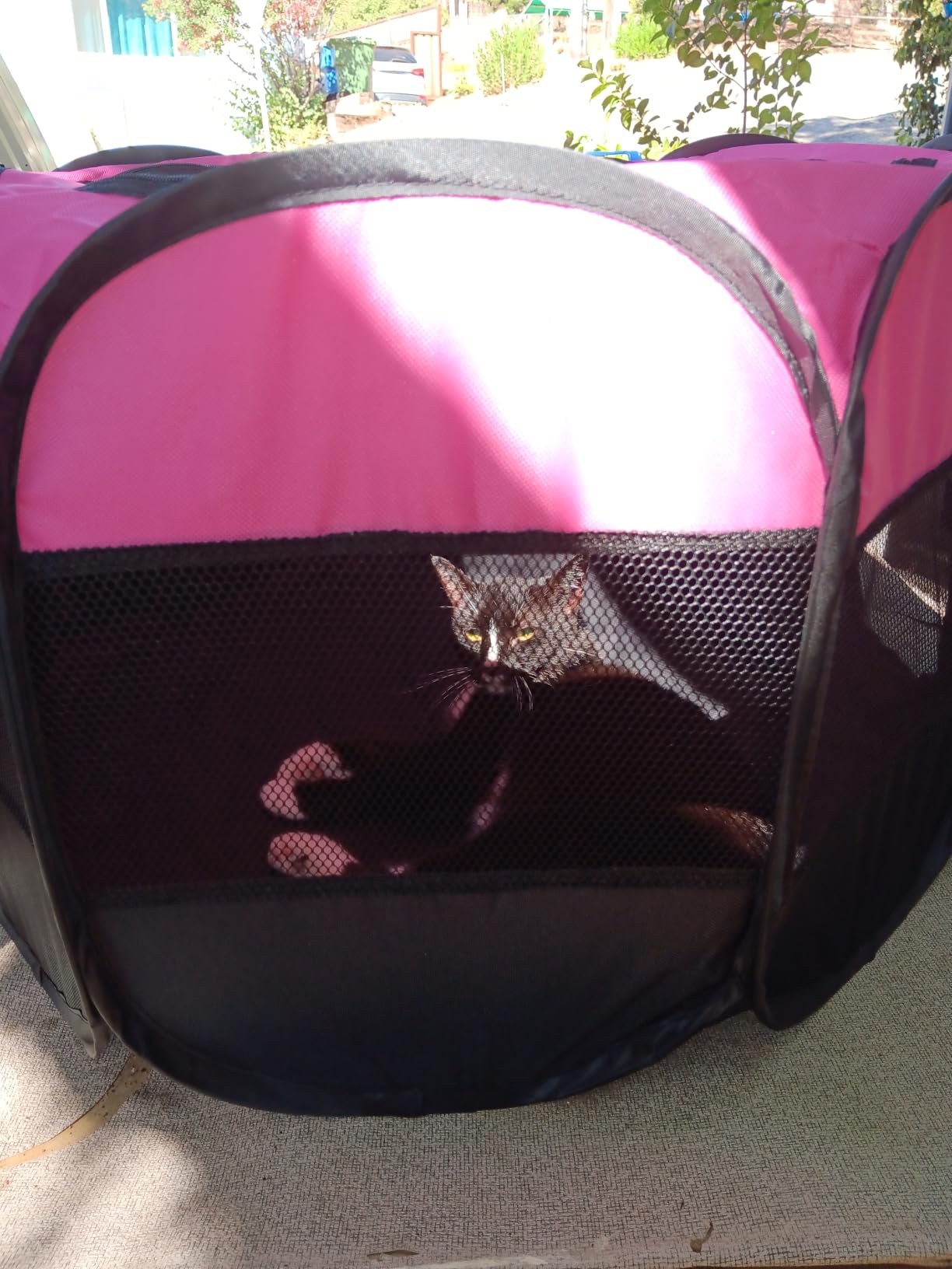 Goozii Portable Dog Playpen for Medium Dogs, Collapsible Pet Cat Kitten Puppy Playpen Indoors Outdoors with Zipper Top Cover (Medium Size, Grey-Black) customer photo 2