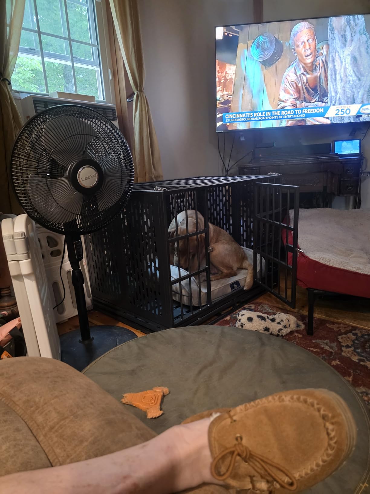 Snuowu 48 Inch Heavy Duty Dog Crate with Wheels, Folding Metal Big Dog Cage for Large and Medium Dogs, Extra Large XL XXL Indestructible Dog Crate with Removable Tray. customer photo 1