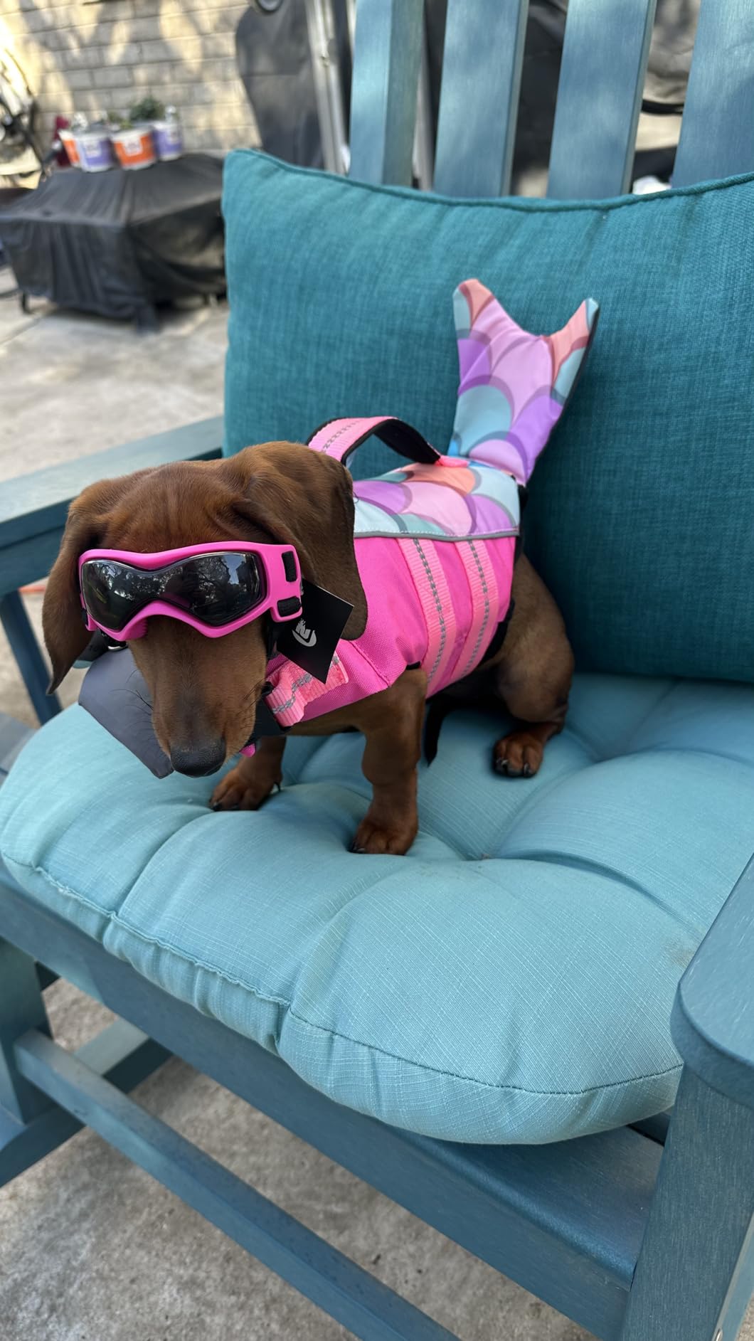 cyeollo Mermaid Dog Life Jacket Chin Float Support Dog Life Vest, Blue, M customer photo 2