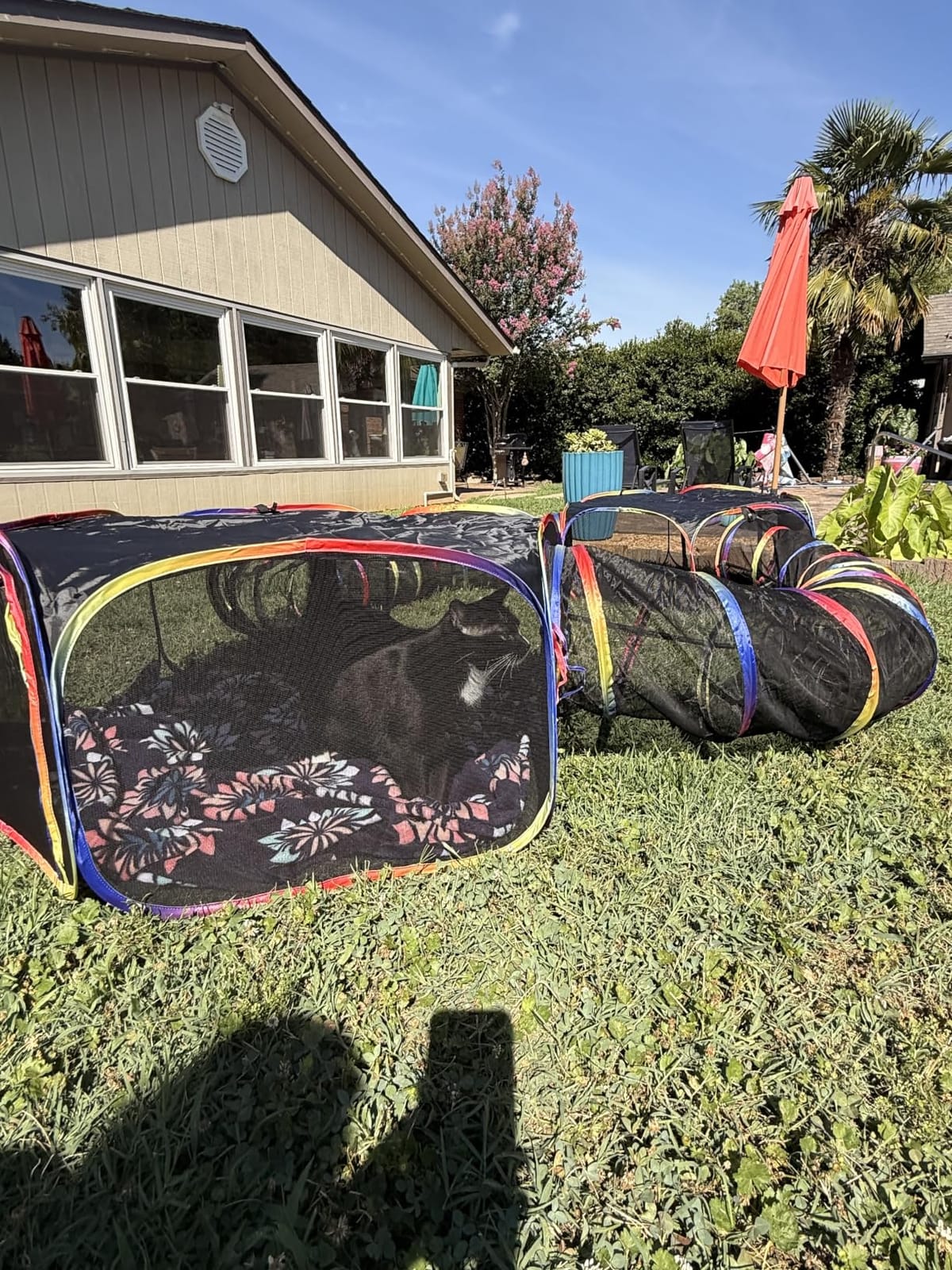 Outdoor Cat Enclosure - Portable Catio Playground for Cat Run, Kitty and Small Animals - Tent & Tunnels for Outside and Indoor Play customer photo 2
