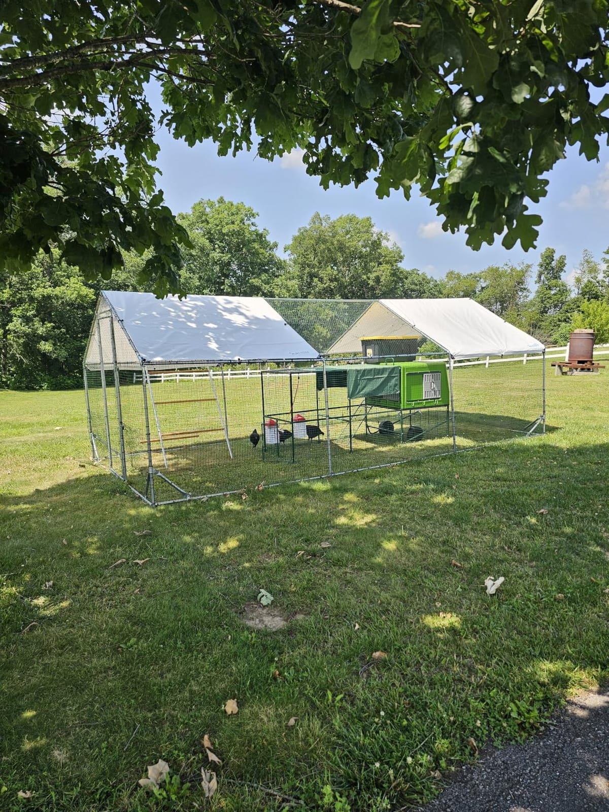 Quictent Large Metal Chicken Coop Run for 30+ Poultry w/Metallic Perch customer photo 1