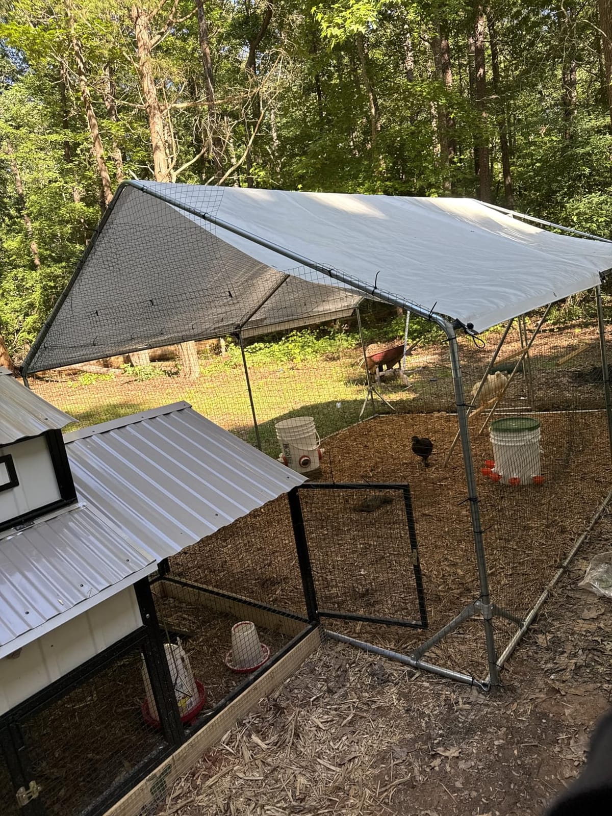 Quictent Large Metal Chicken Coop Run for 30+ Poultry w/Metallic Perch customer photo 2