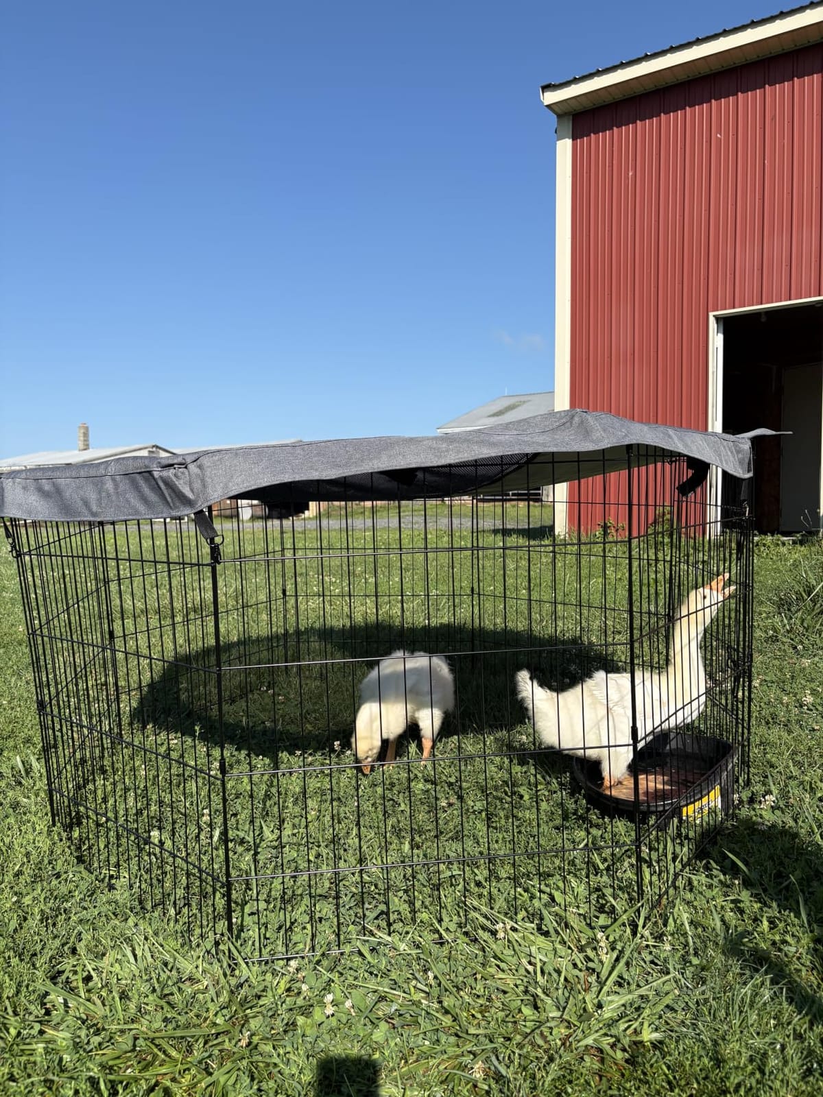 PETIME Foldable Metal Dog Exercise Pen/Pet Puppy Playpen Kennels Yard Fence Indoor/Outdoor 8 Panel 24