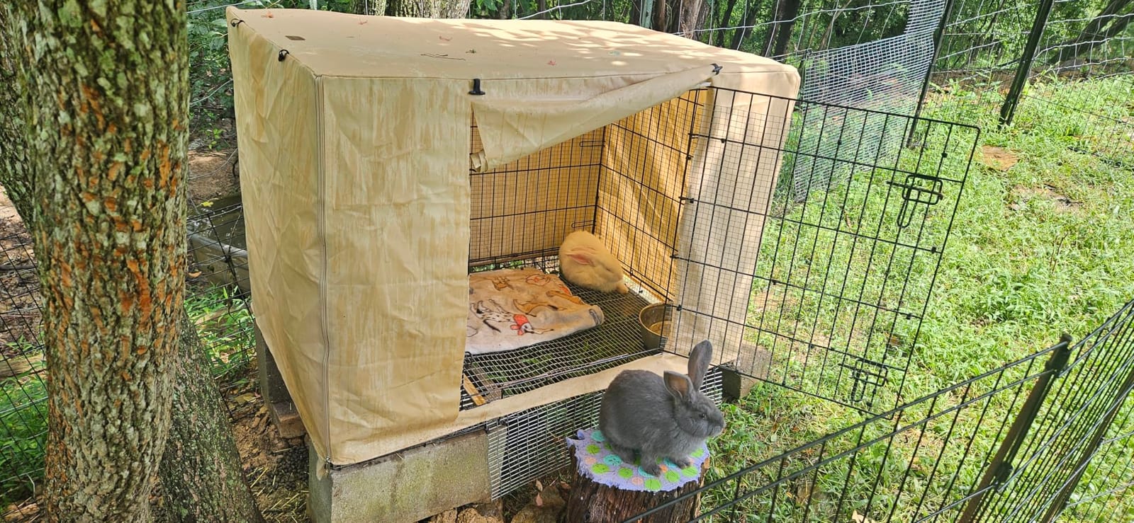 Akinerri Dog Crate Cover, Double Door Waterproof Kennel Cover, 36 in Grey customer photo 1