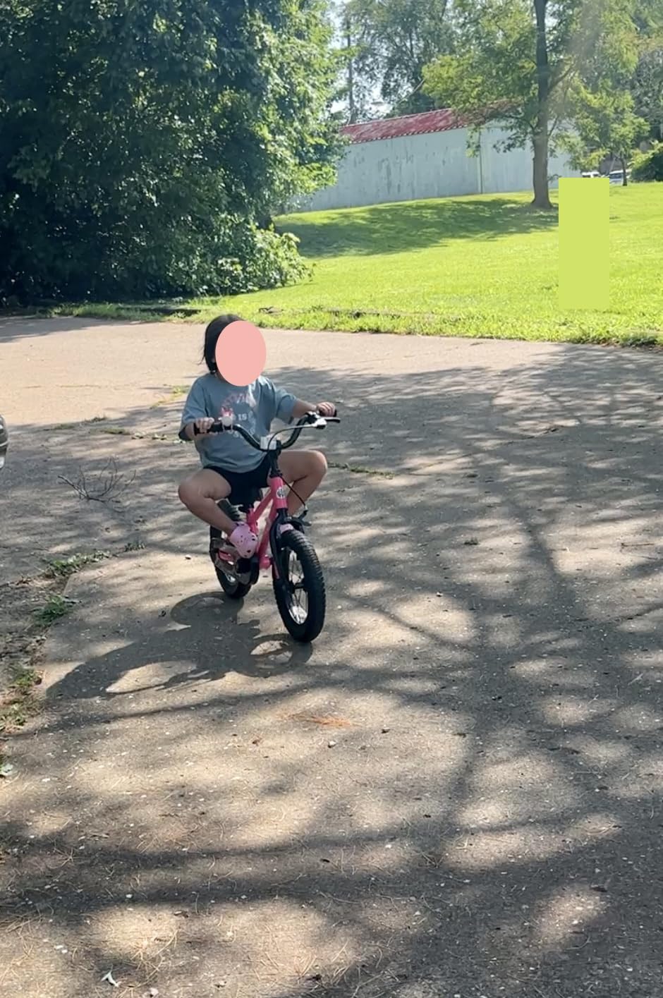 RoyalBaby EZ Kids Bike, 12-20 Inch Balance & Pedal, Safer for Beginners customer photo 1