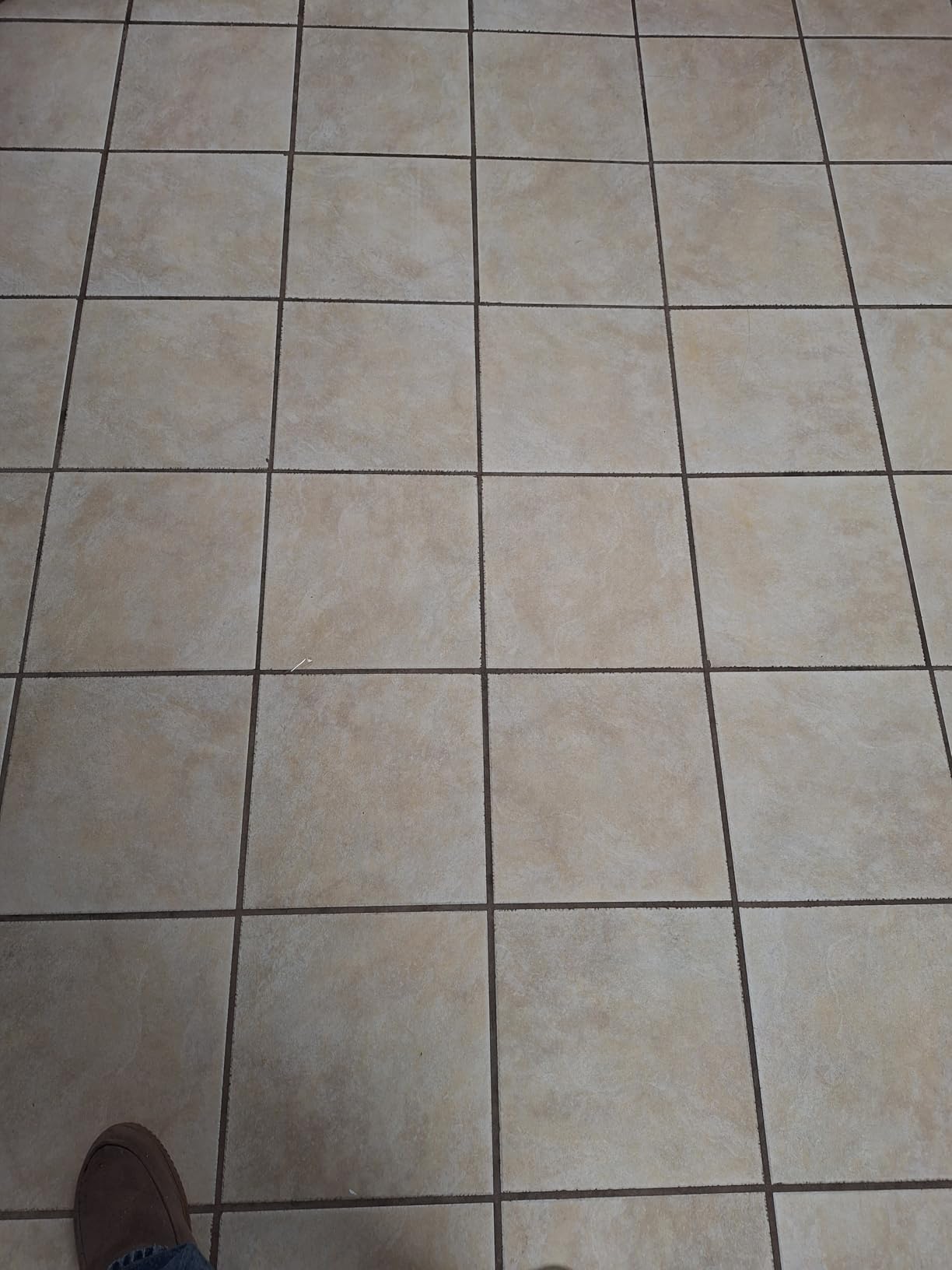 Shark Steam & Scrub with Steam Blaster Technology, White, S8201 customer photo 1