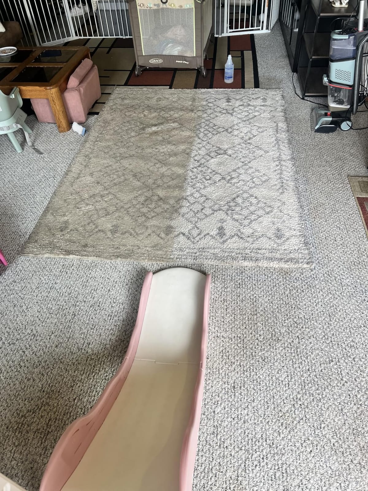 Shark CarpetXpert Upright Carpet & Built-in Stain Cleaner, 3 Tools, EX151 customer photo 1