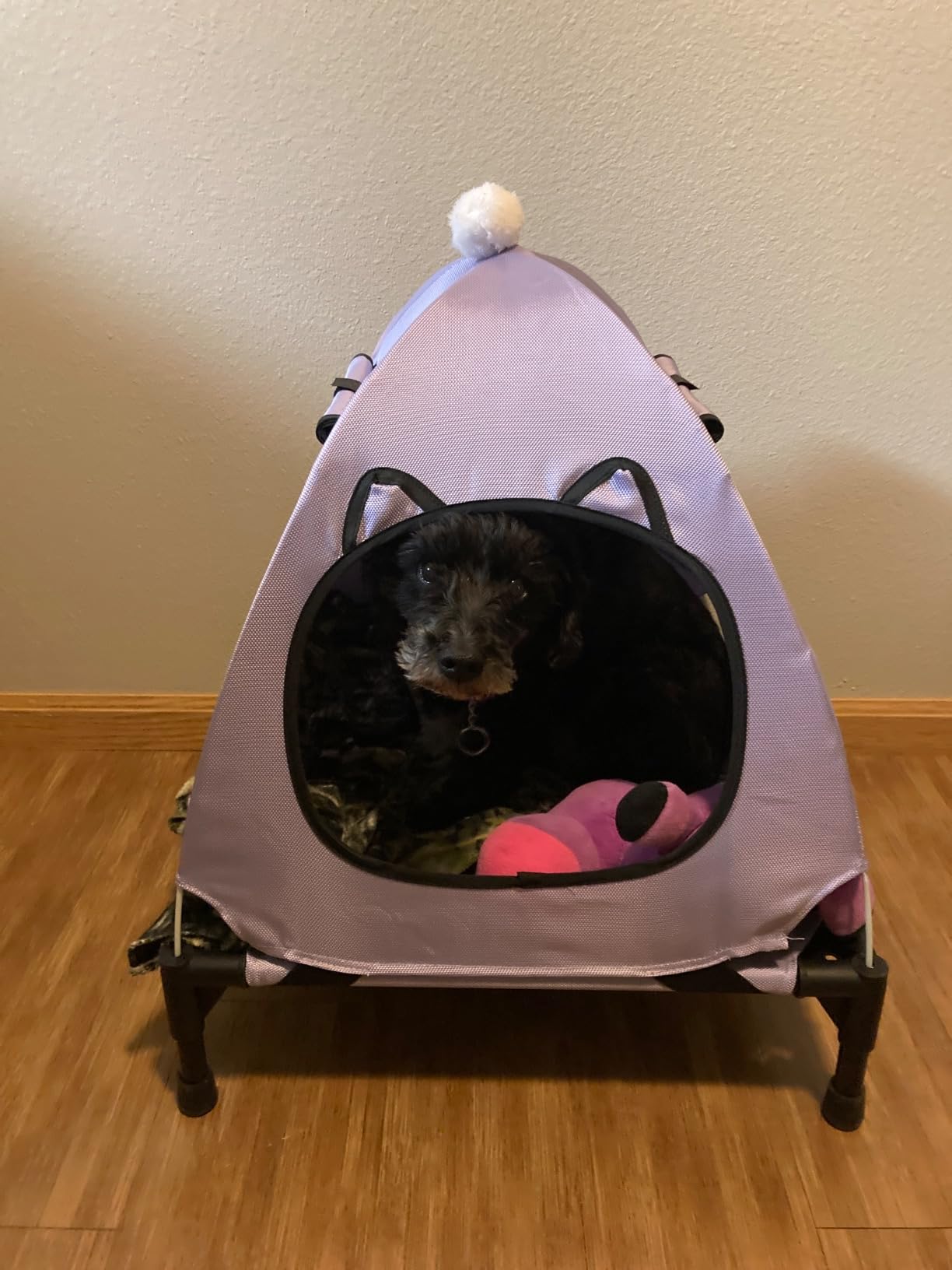 Pozico Elevated Dog Bed with Canopy and Breathable Mesh for Small Dog and Cat, 18.5x18.5x16.9 inch, Black customer photo 2