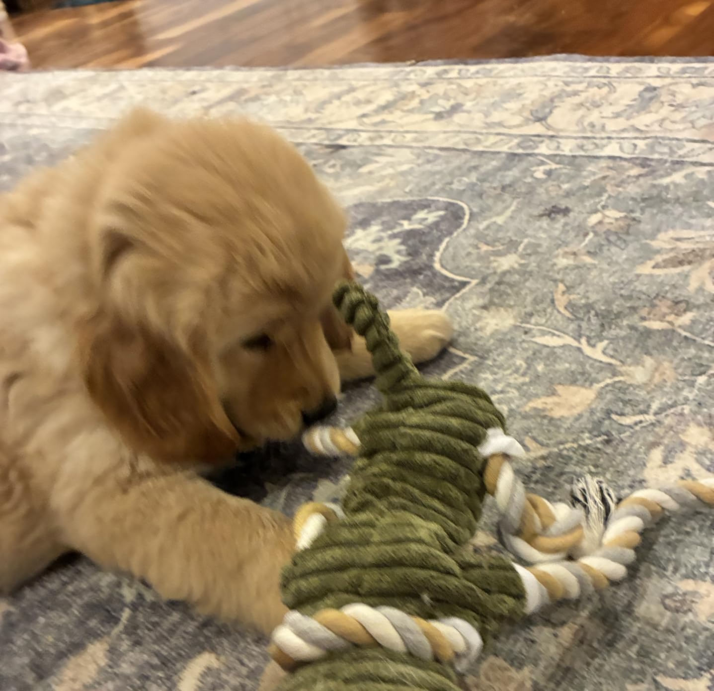 BUYPOW Funny Plush Dog Chew Toys, Squeaky Dog Toys, Interactive Tug of War Puppy Toys, Stuffed Dog Toys for Small, Medium and Large Dogs - Monkey customer photo 1