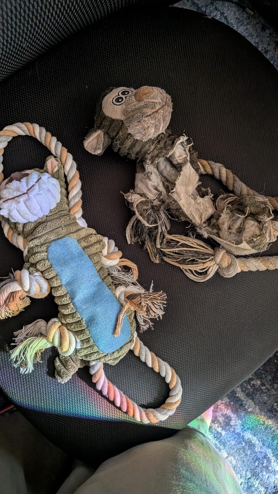 BUYPOW Funny Plush Dog Chew Toys, Squeaky Dog Toys, Interactive Tug of War Puppy Toys, Stuffed Dog Toys for Small, Medium and Large Dogs - Monkey customer photo 2