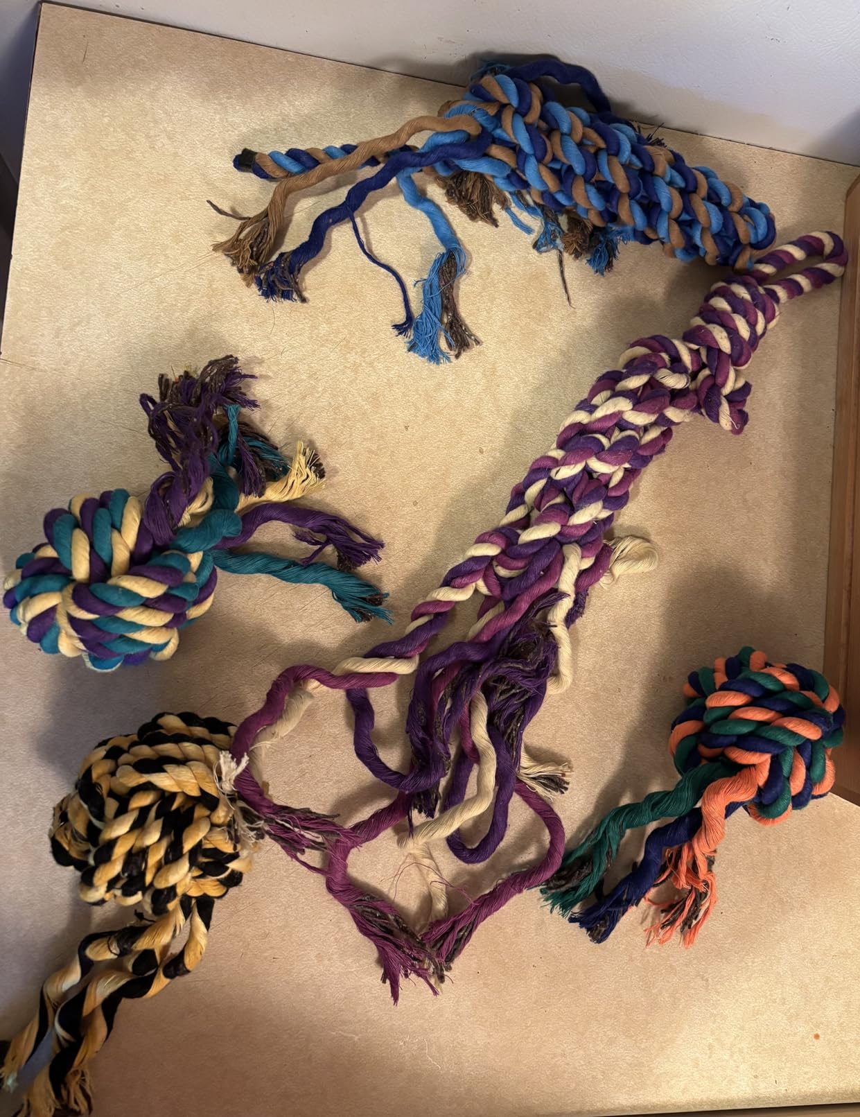 Puppy Teething Toys for Small Dogs, 5 Pack Cotton Puppy Dog Rope Toy customer photo 2
