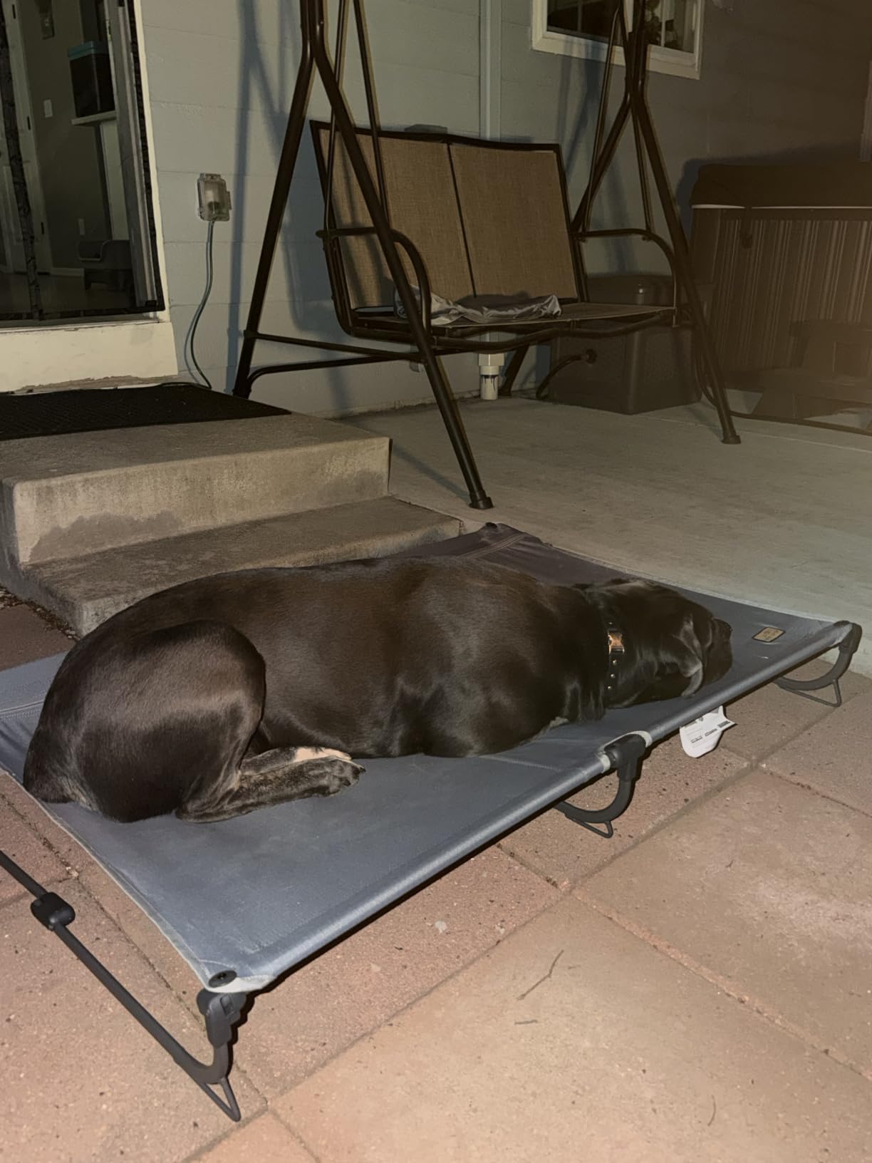 CANINE CANYON Upgraded Non-Slip Daisy Cot, Large Foldable Elevated Dog Bed, Portable Raised Outdoor Folding Dog Cot for Camping/Home, Chew Proof Waterproof Heavy Duty Up to 160 Lbs, Brown, 43