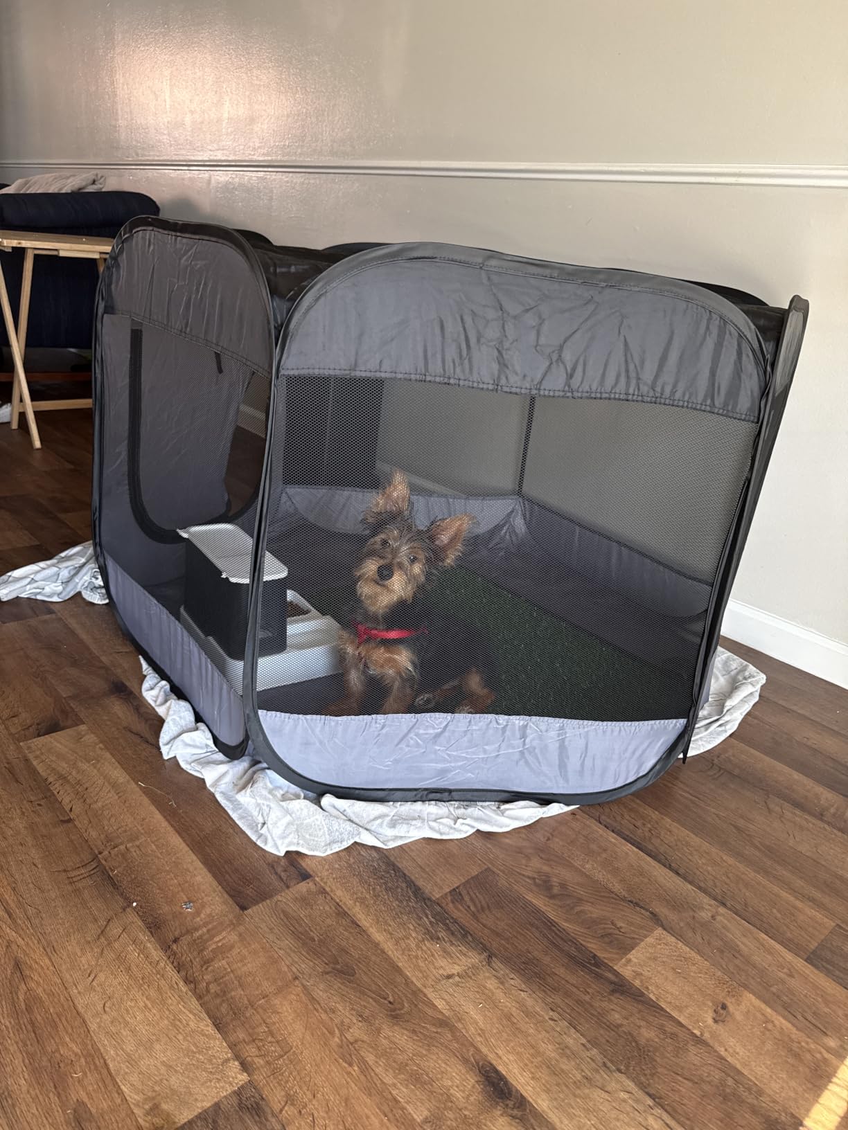 Furhaven Portable Dog Playpen Cat Tent, Pet Playground,Kennel Foldable Indoor Outdoor Zippered Puppy Crate - Green & Pink, Small customer photo 1