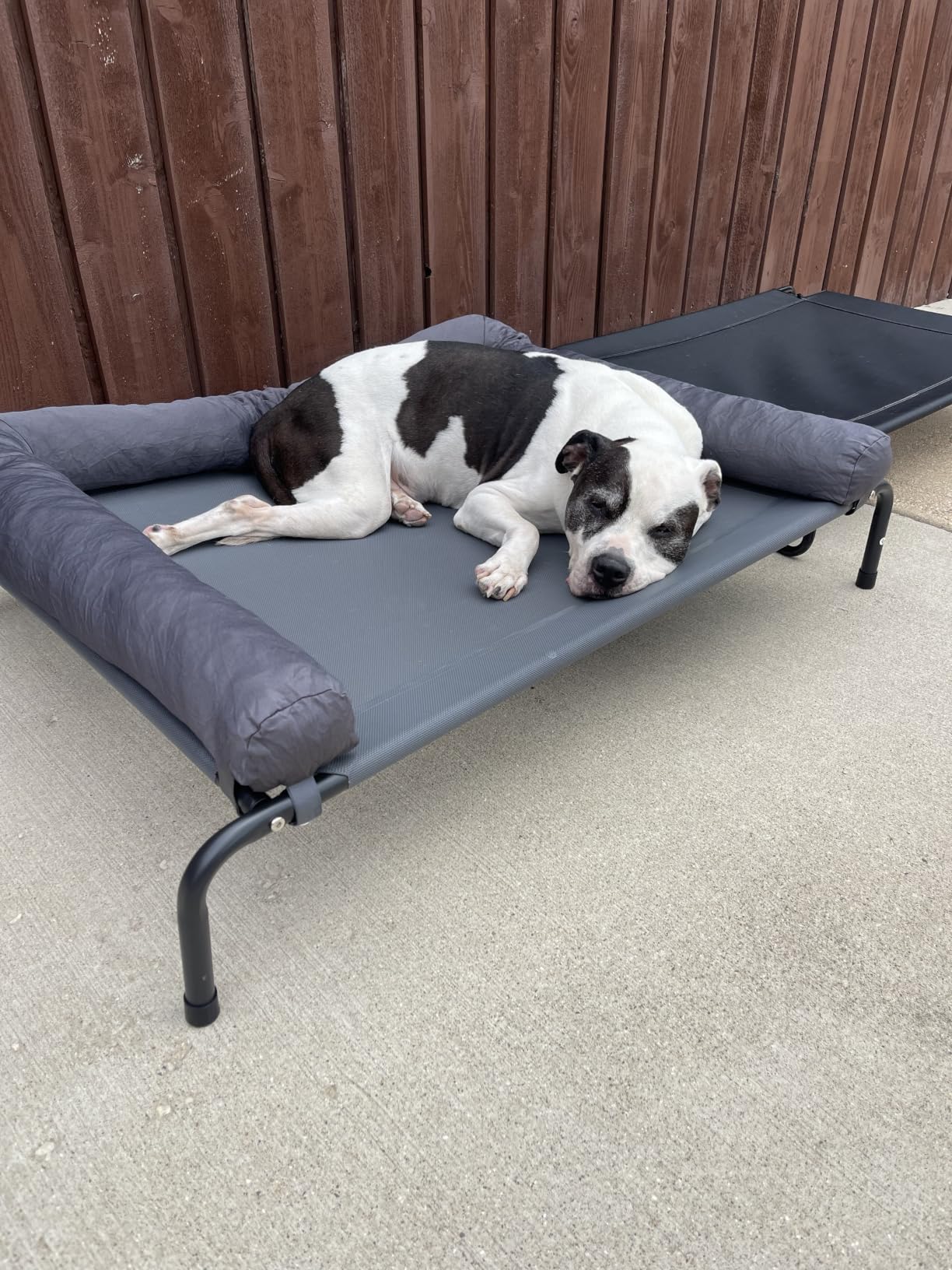 WESTERN HOME Cooling Elevated Dog Bed for Large Dogs,Outdoor Raised Dog Bed | Dogs Cot Portable Indoor, Raised with Breathable Mesh, Chew Proof Pet Hammock Cots, Removable and Waterproof Bolsters customer photo 2