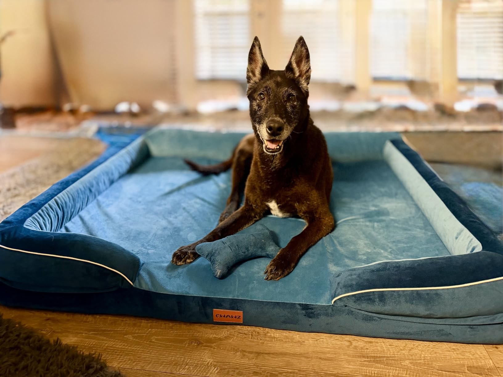 CWAWZ XXL Dog Bed for Extra Large Dogs, Giant Orthopedic Dog Bed with Cooling Gel Memory Foam, Waterproof Pet Bed with Removable Washable Cover, 53