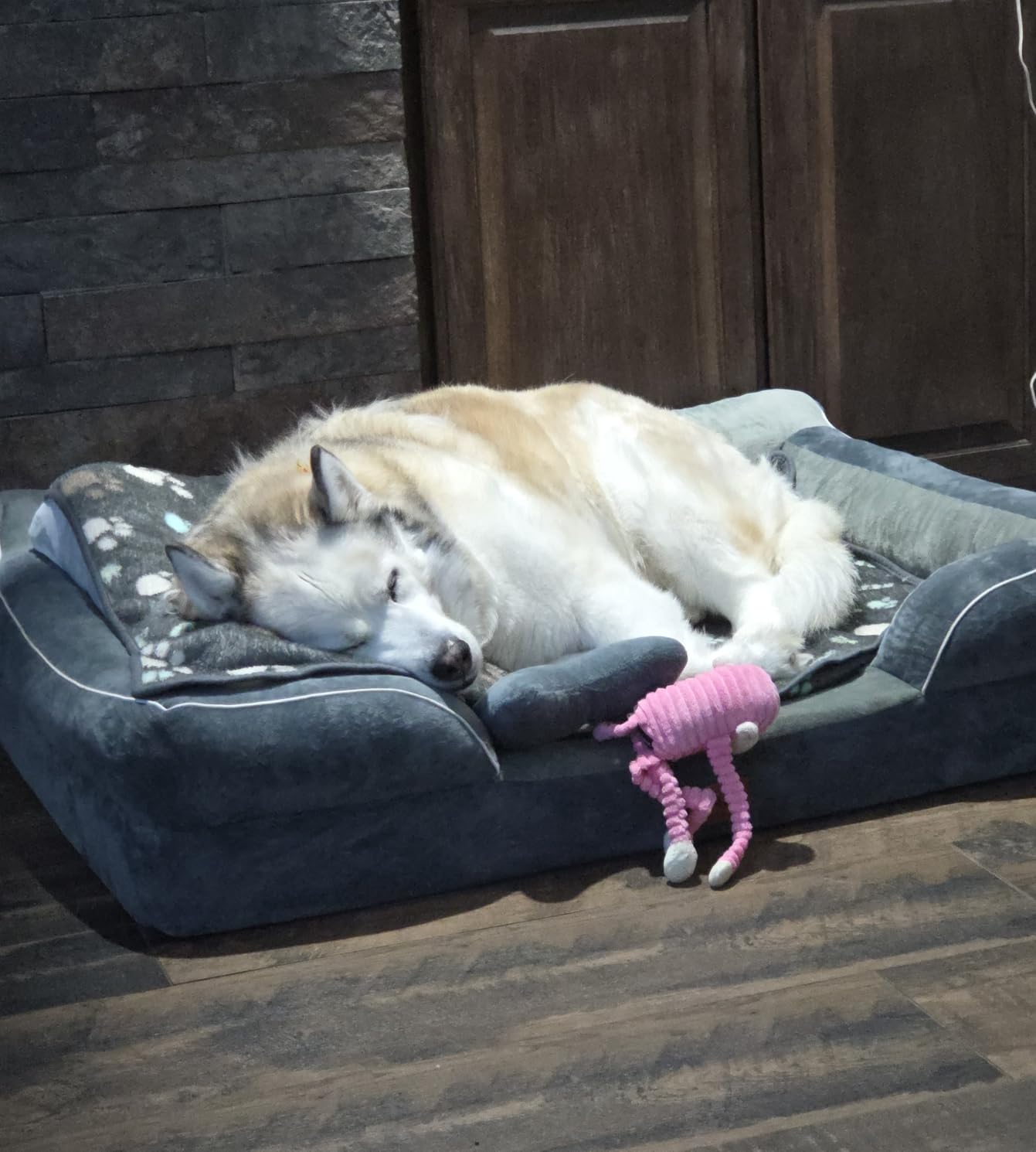 CWAWZ Extra Large Dog Bed, Orthopedic XL Dog Bed with Cooling Gel Memory Foam, Waterproof Pet Bed with Removable Washable Cover, 42