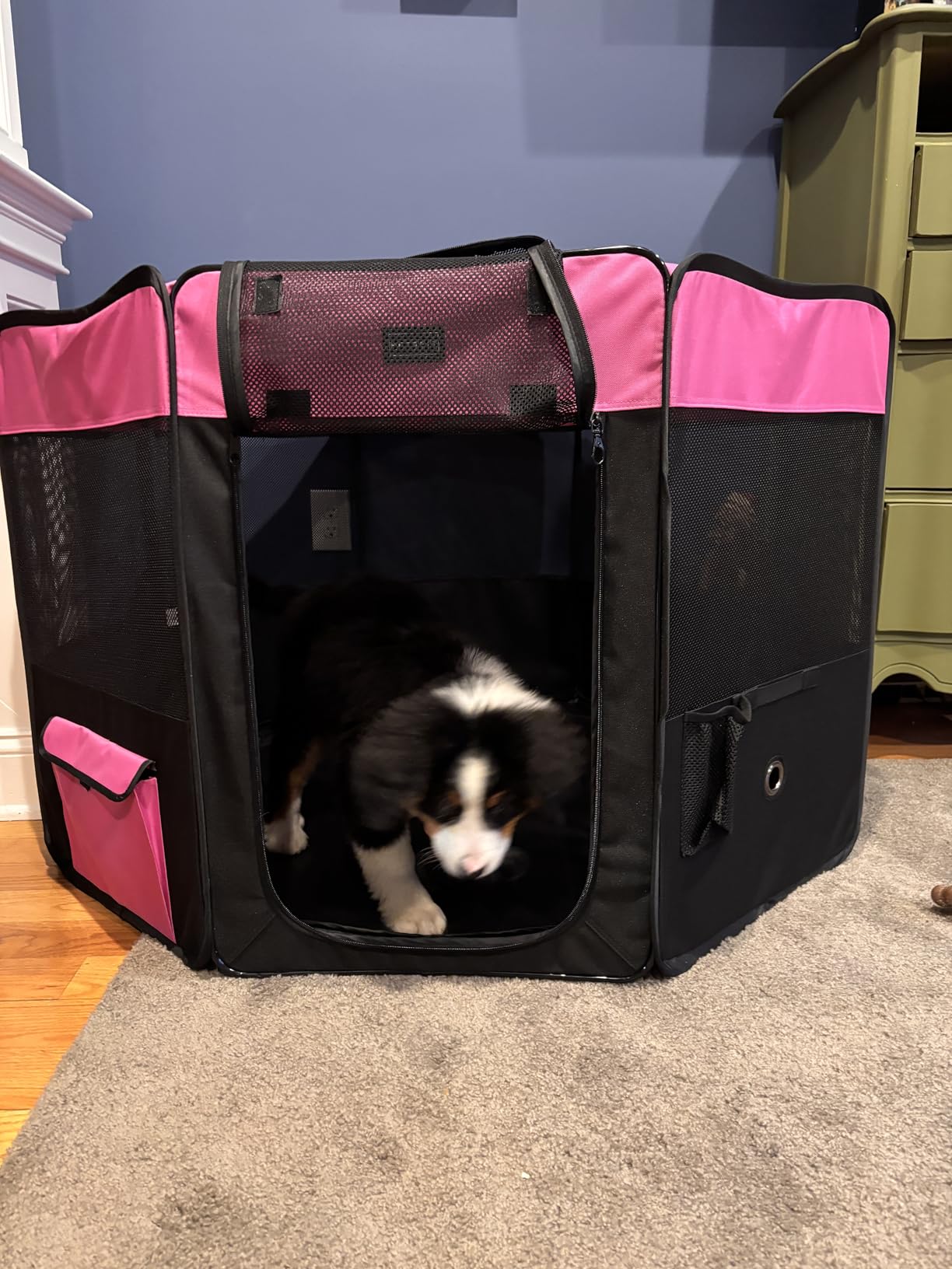 PETSFIT Portable Dog Playpen 45