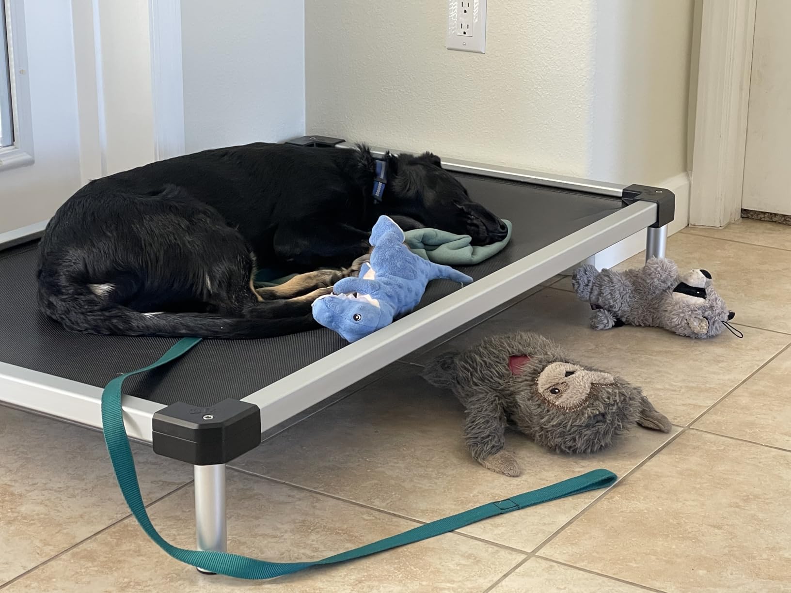 FXW TitanNest Cooling Chew-Proof Elevated Dog Bed for Extra Large Dogs customer photo 1